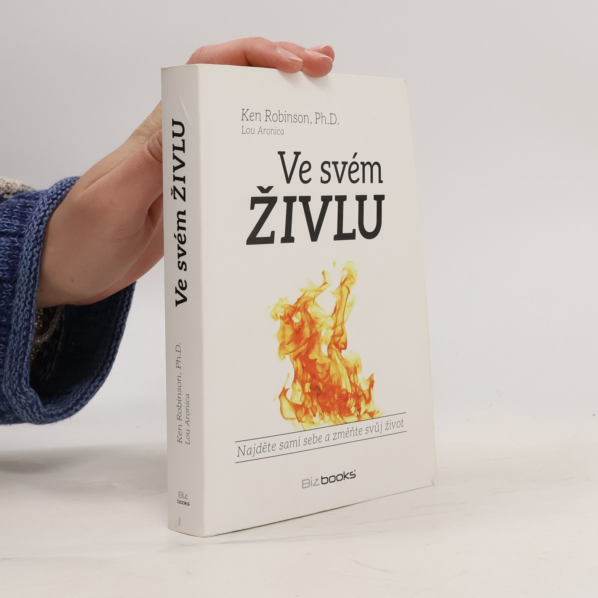 Ve svém živlu. Najděte sami sebe a změňte svůj život