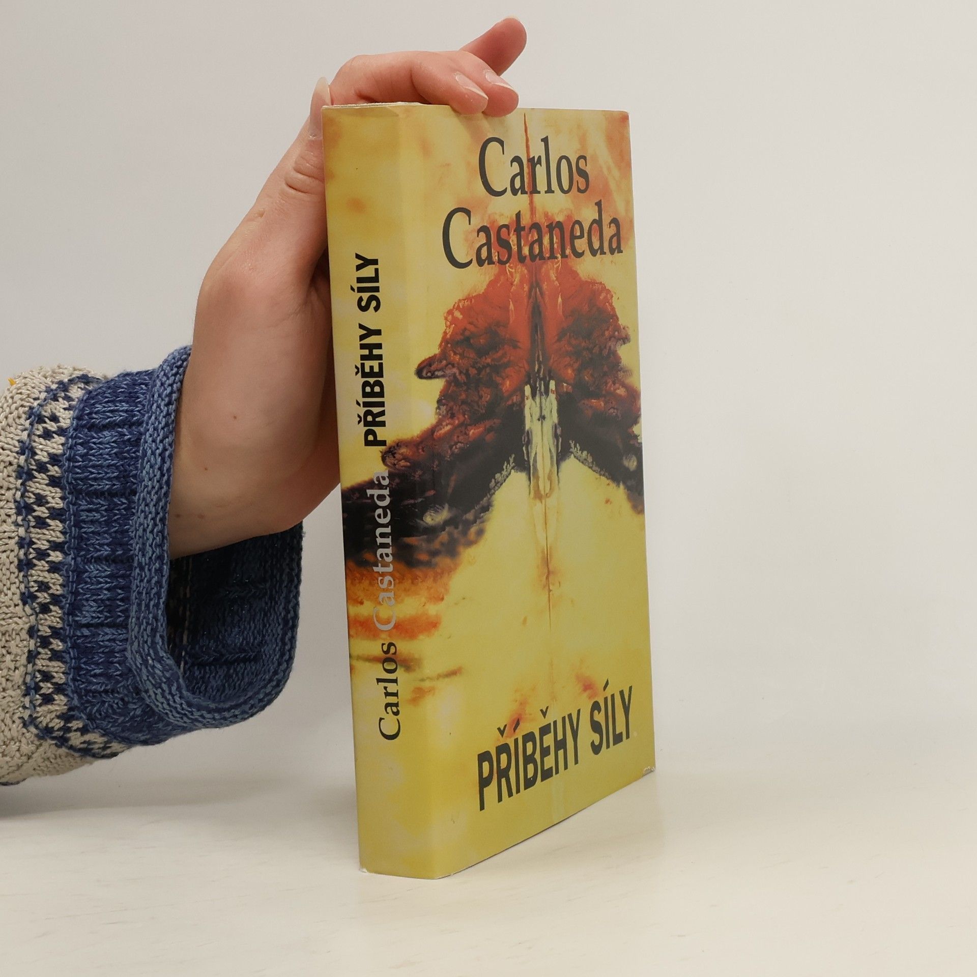 Carlos Castaneda Příběh síly