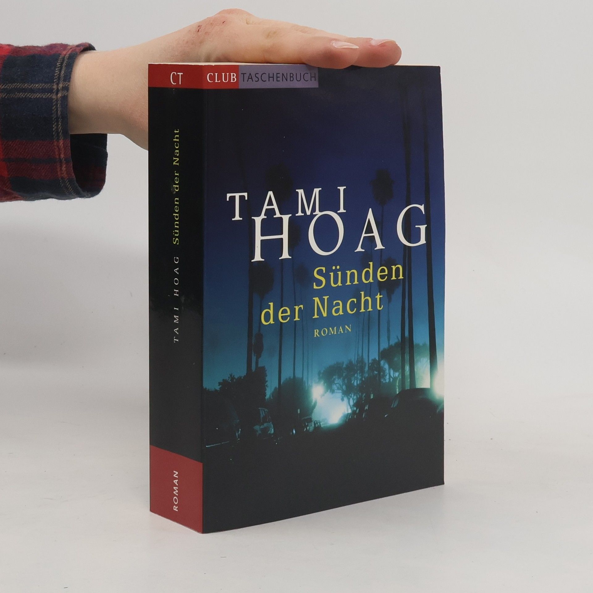 Tami Hoag Sünden der Nacht