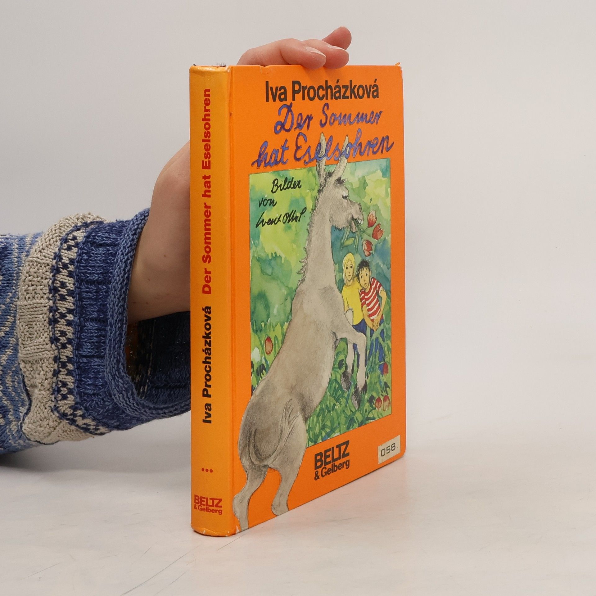 Der Sommer hat Eselsohren. Erzählung