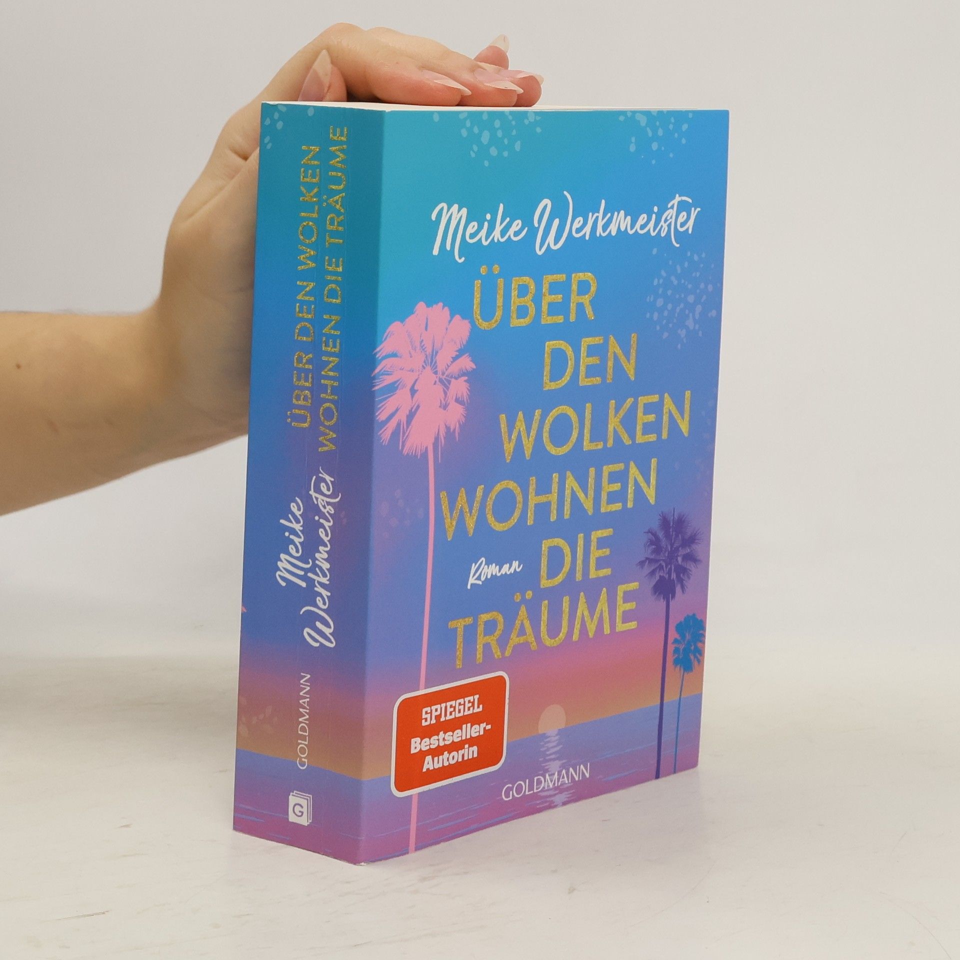 Meike Werkmeister Über den Wolken wohnen die Träume