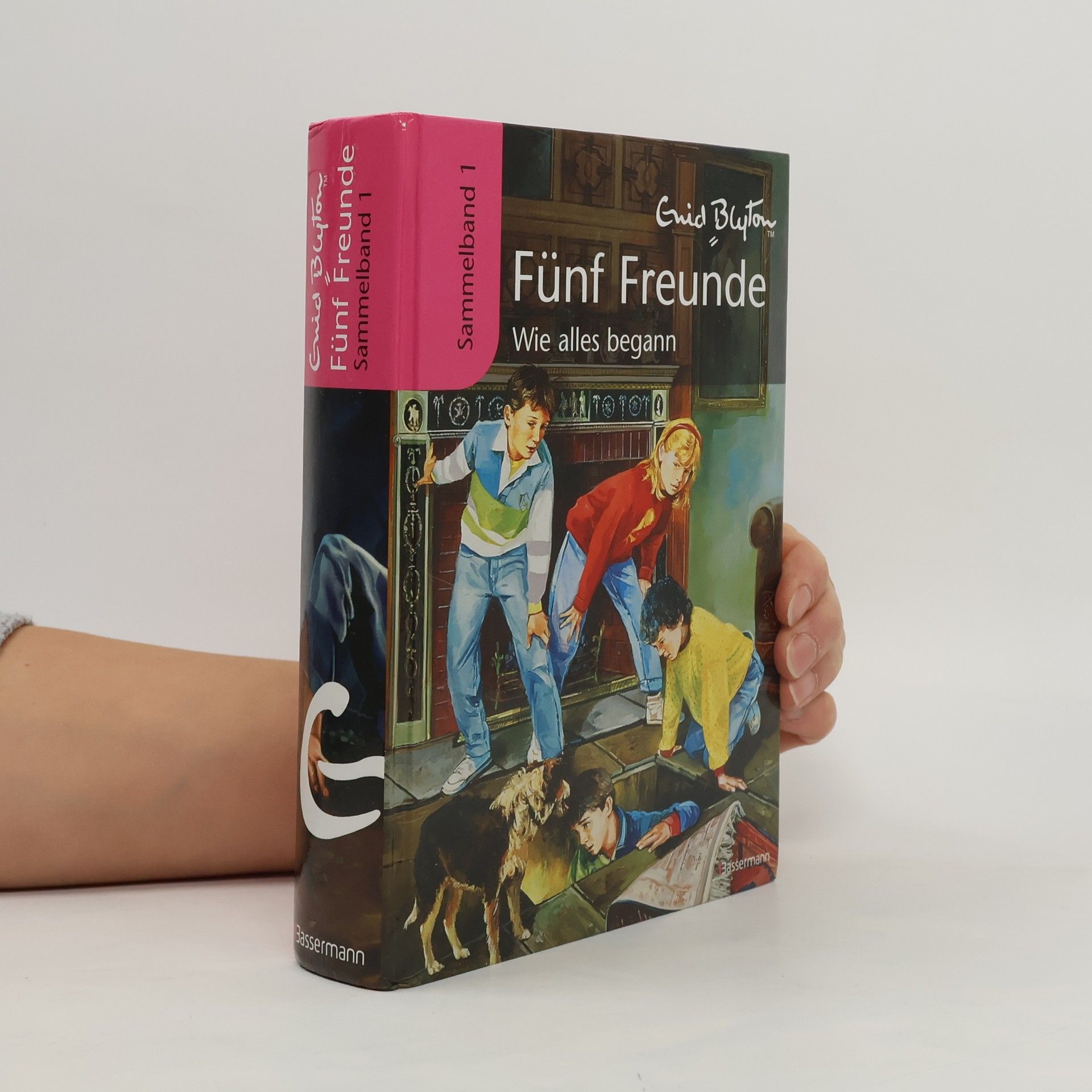 Fünf Freunde: Wie alles begann