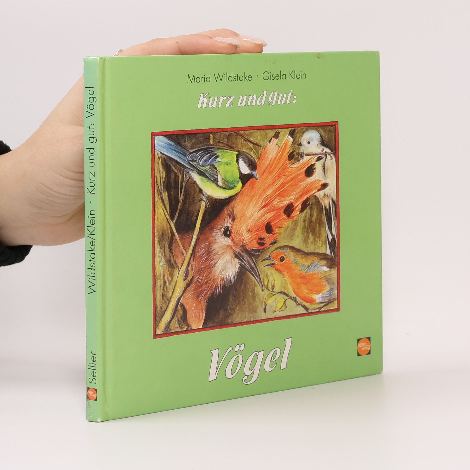 Maria Wildstake Kurz und gut: Vögel