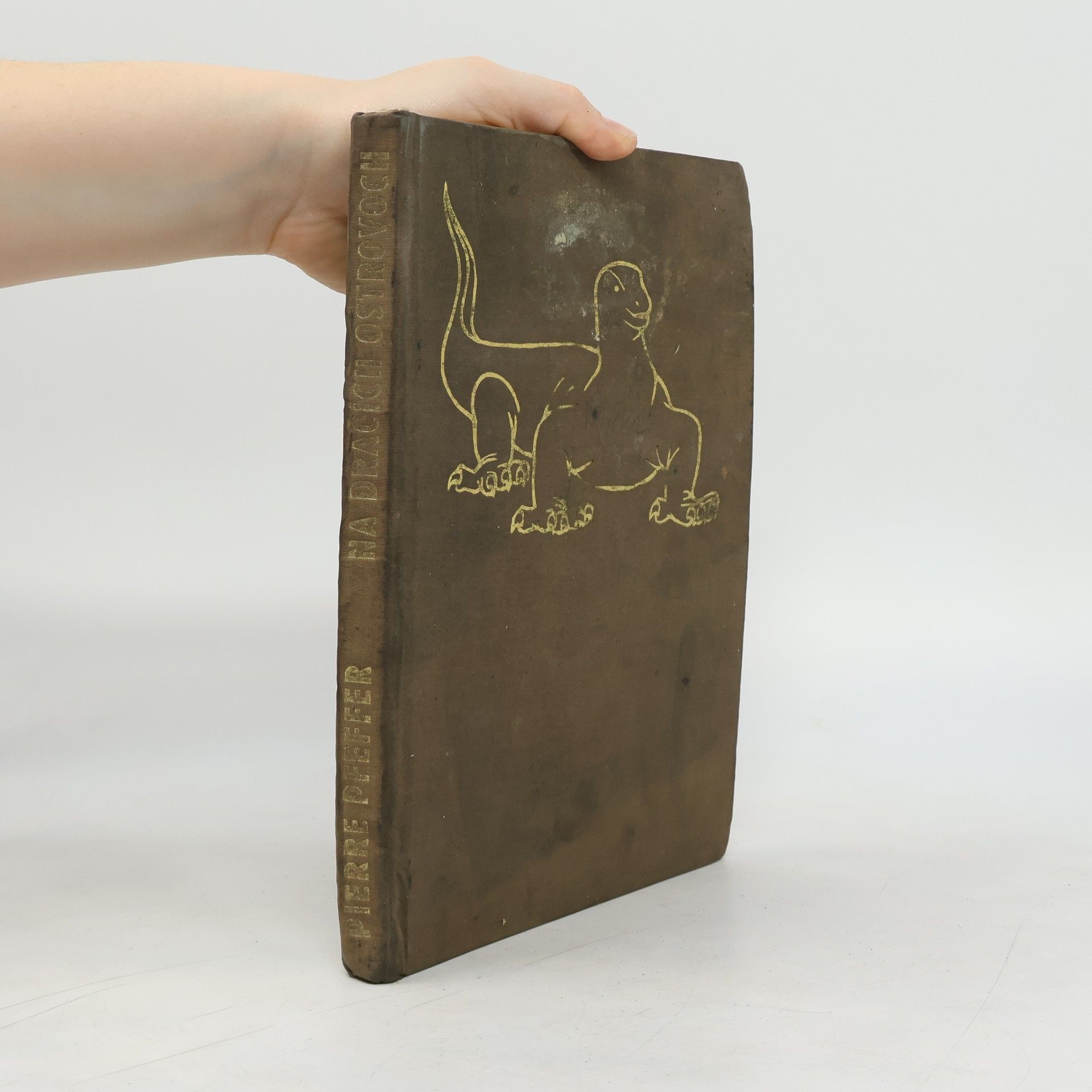 Pierre Pfeffer Na dračích ostrovoch