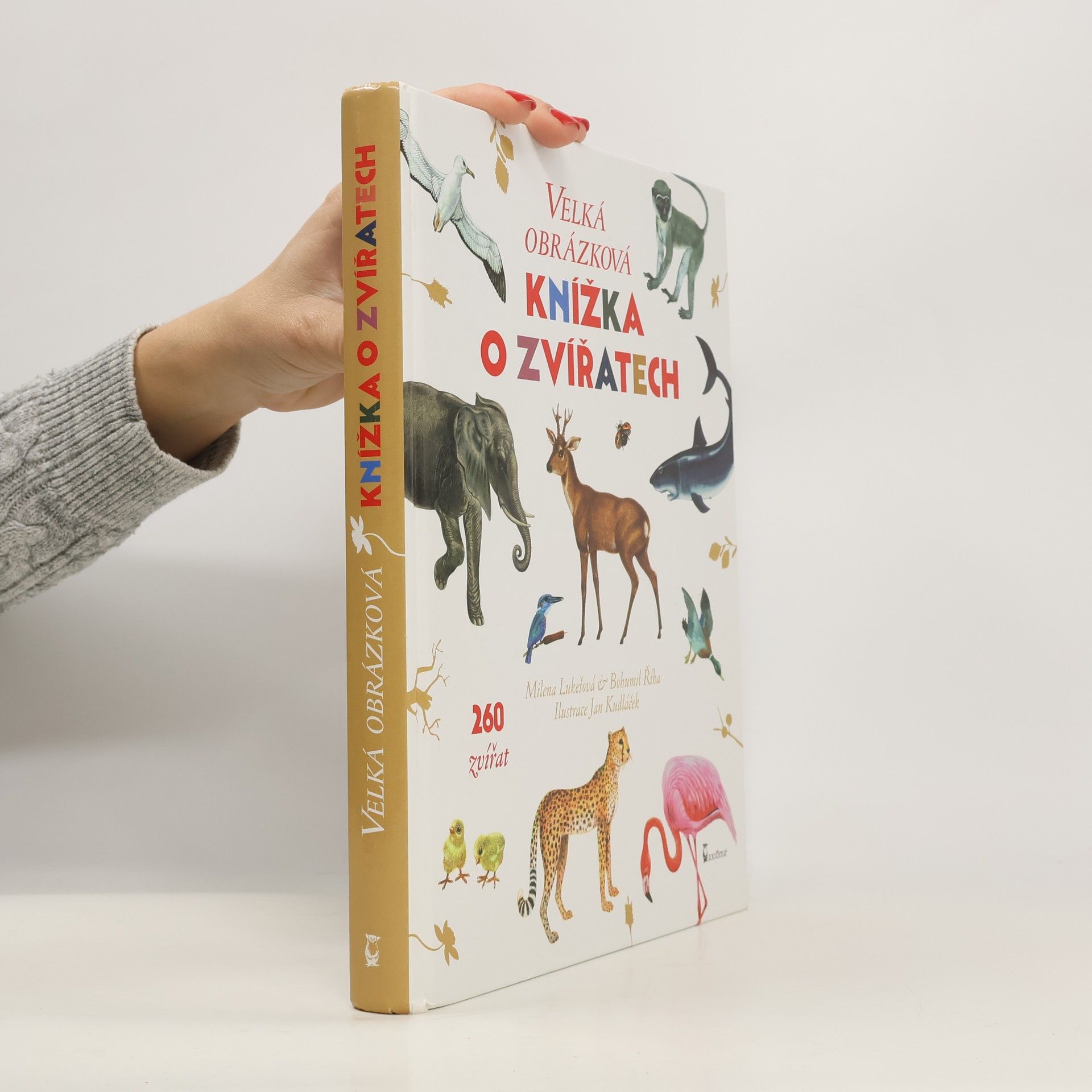 Milena Lukešová Velká obrázková knížka o zvířatech. 260 zvířat od A do Z