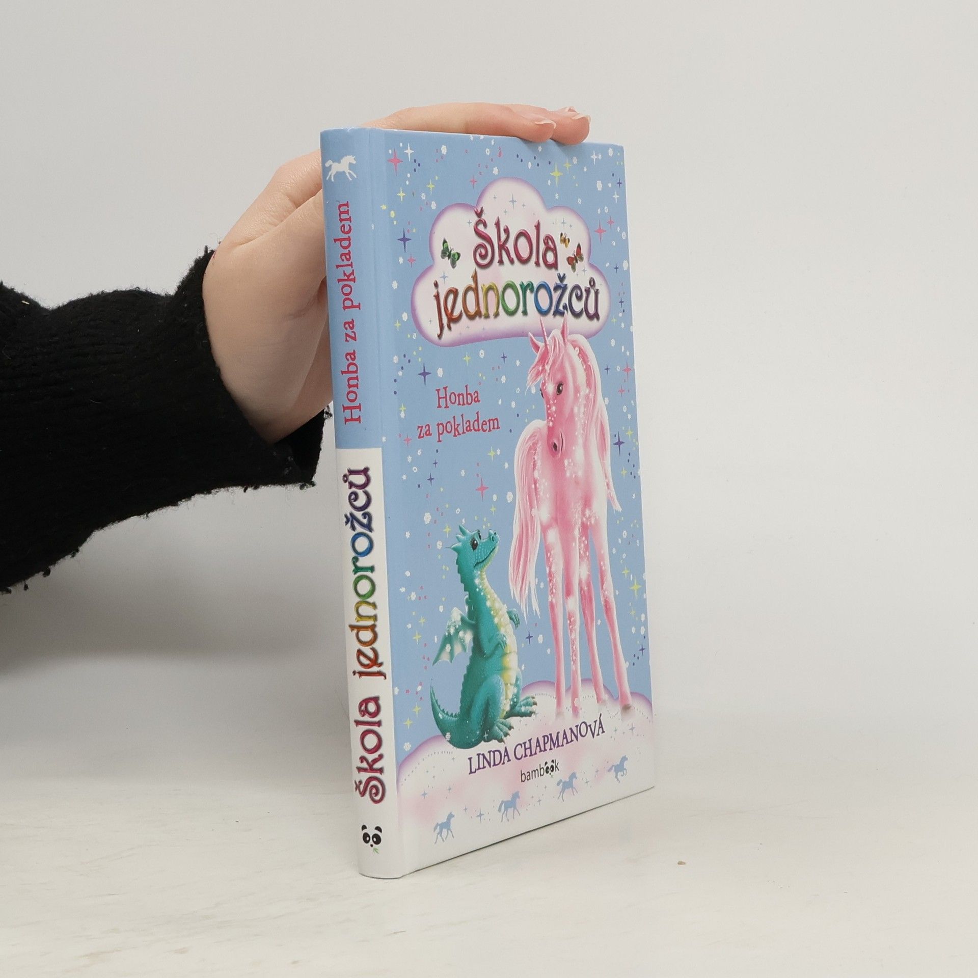 Linda Chapman Honba za pokladem