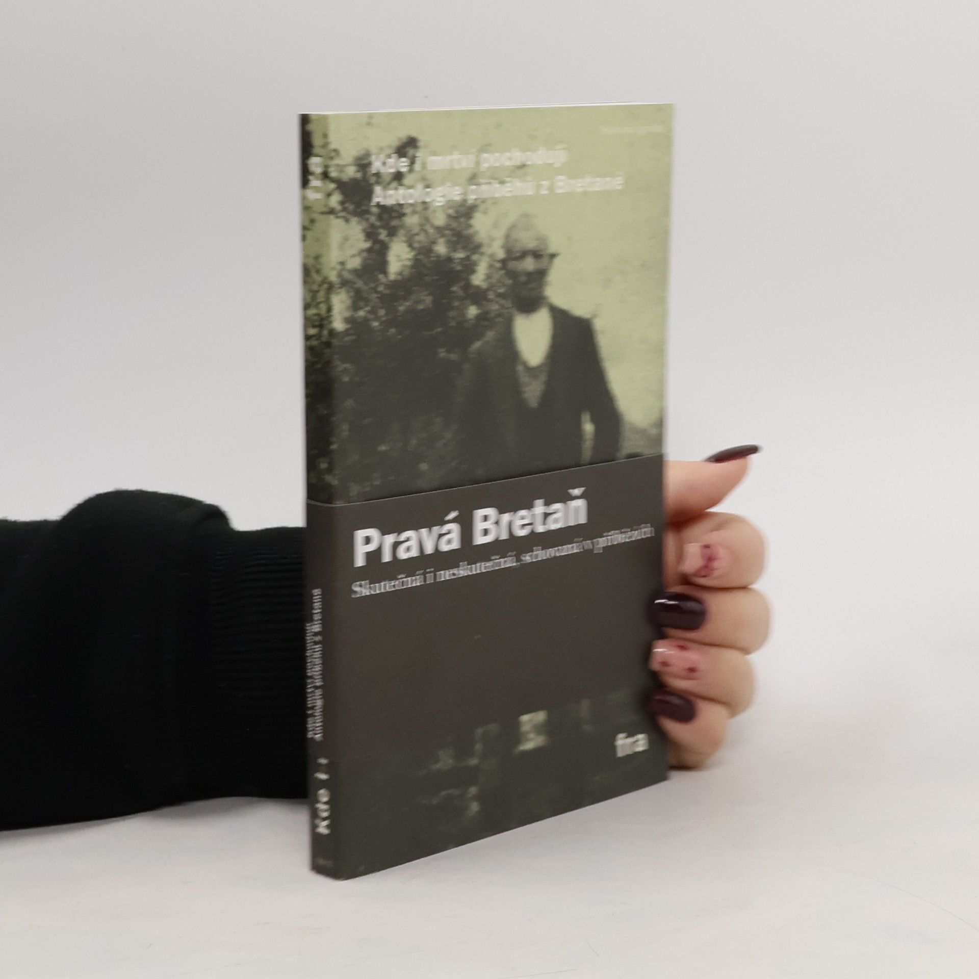 Kde i mrtví pochodují : antologie příběhů z Bretaně