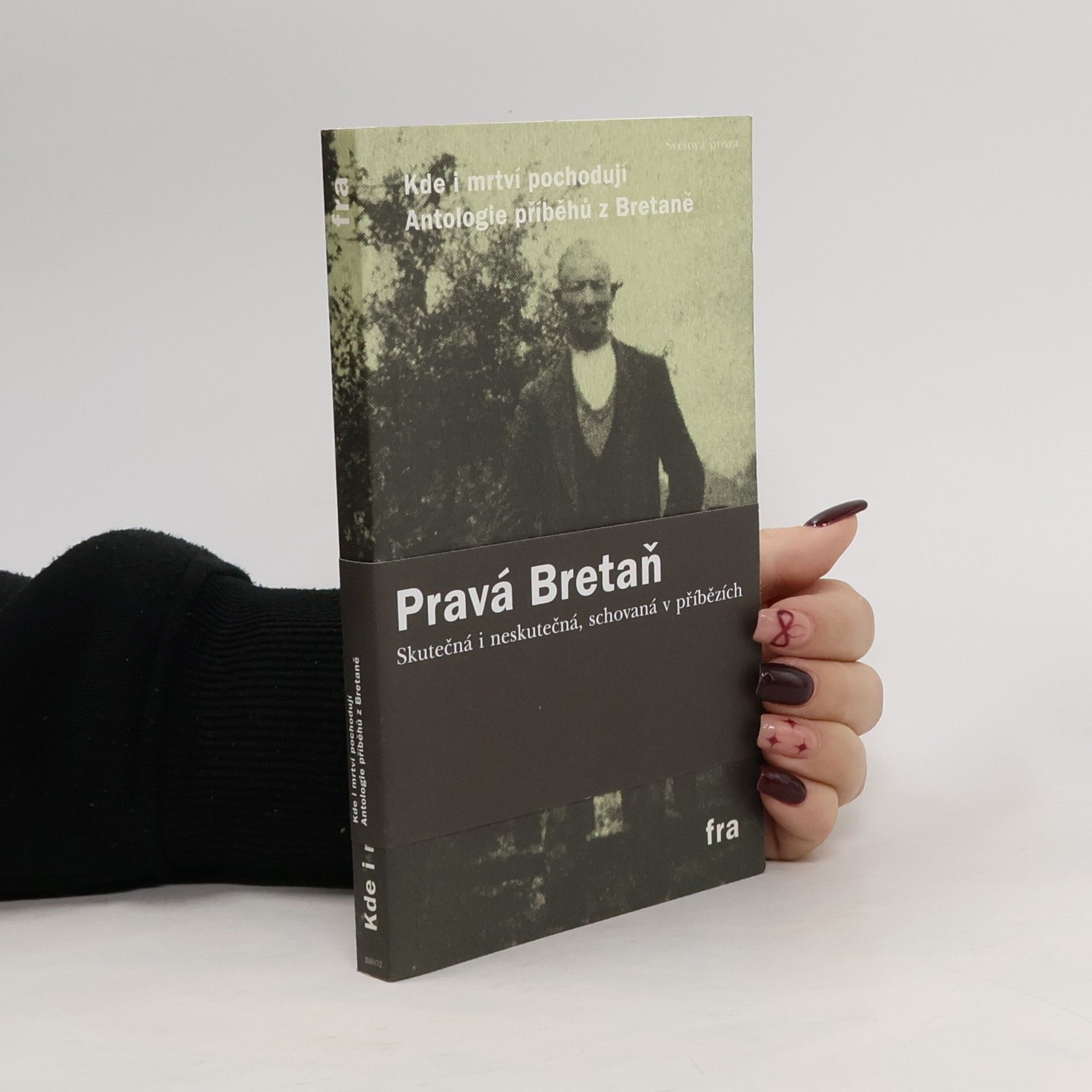 Nelly Blanchard Kde i mrtví pochodují : antologie příběhů z Bretaně