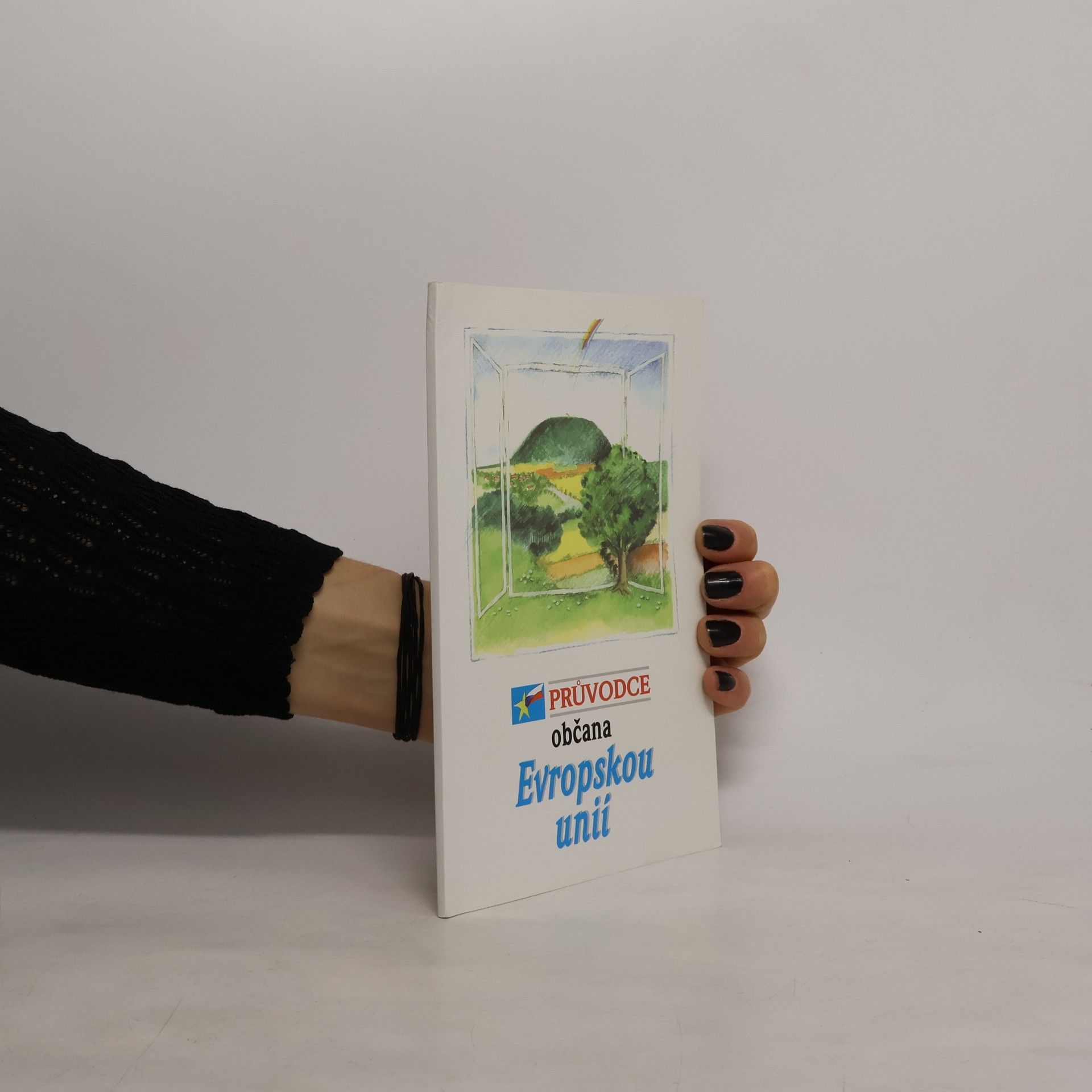Průvodce občana Evropskou unií