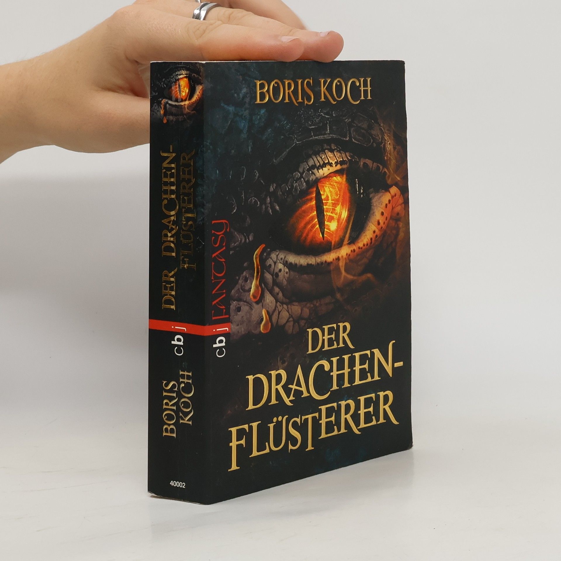 Boris Koch Der Drachenflüsterer