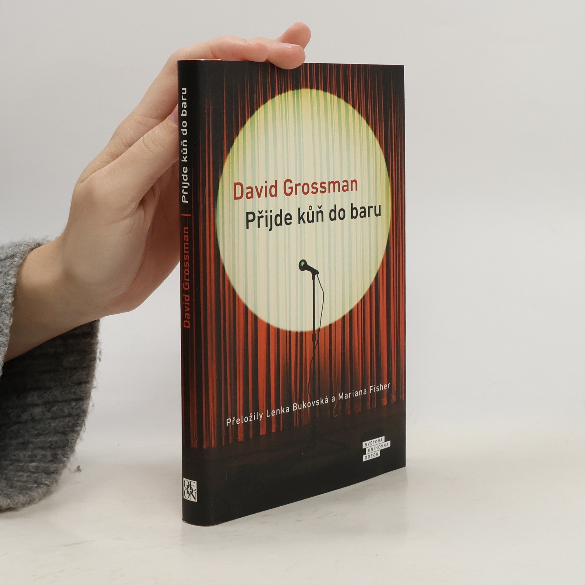 David Grossman Přijde kůň do baru