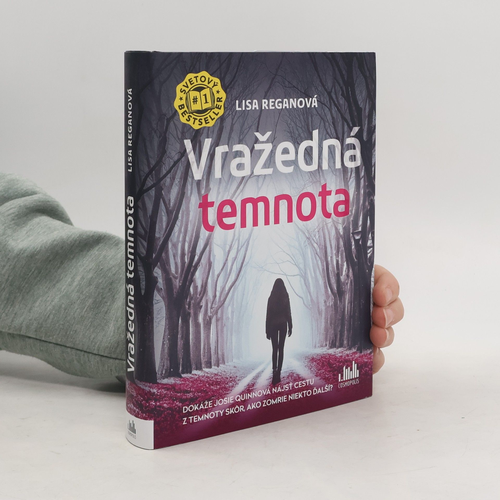 Lisa Regan Vražedná temnota