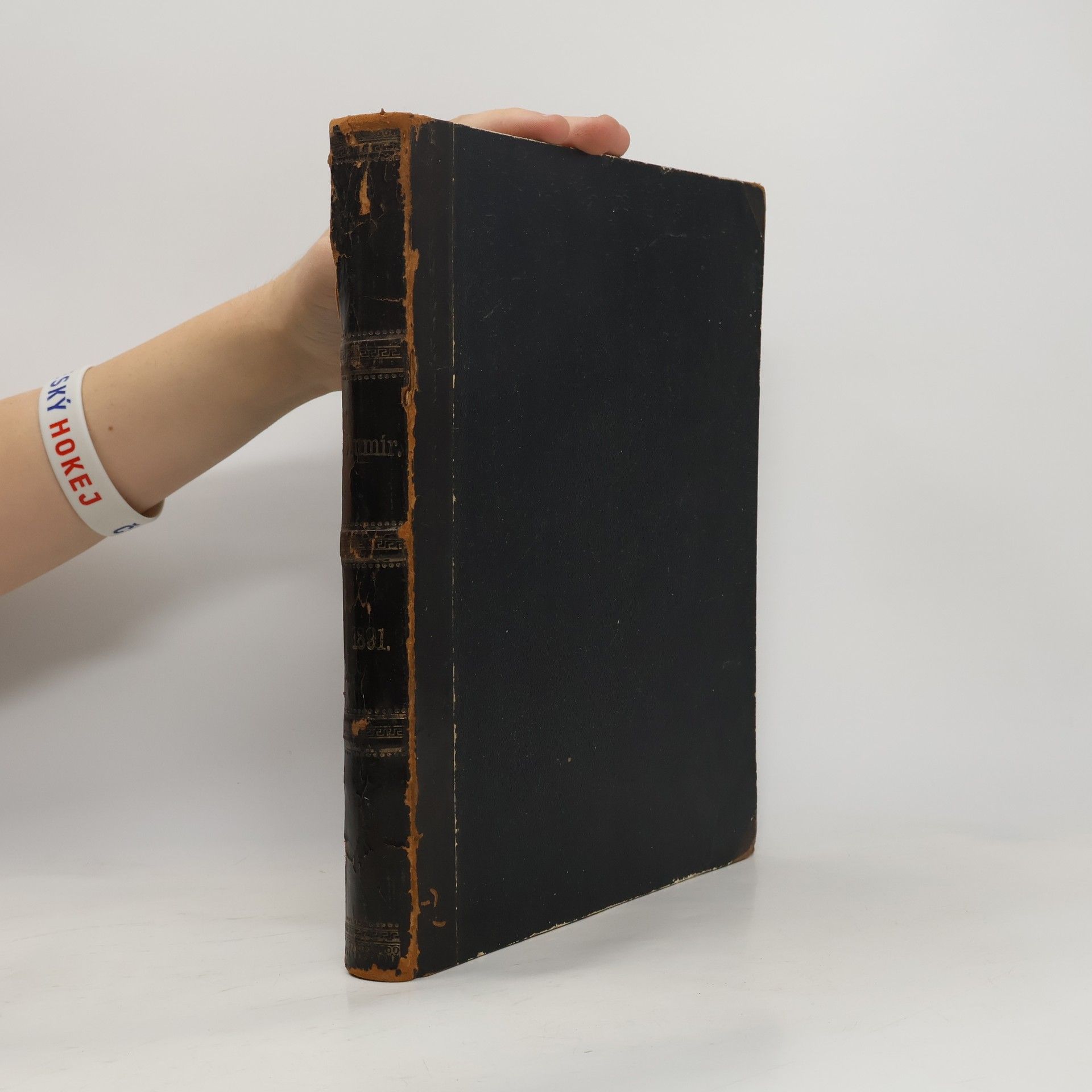 Kolektiv autorů Lumír. 19. Ročník XIX.