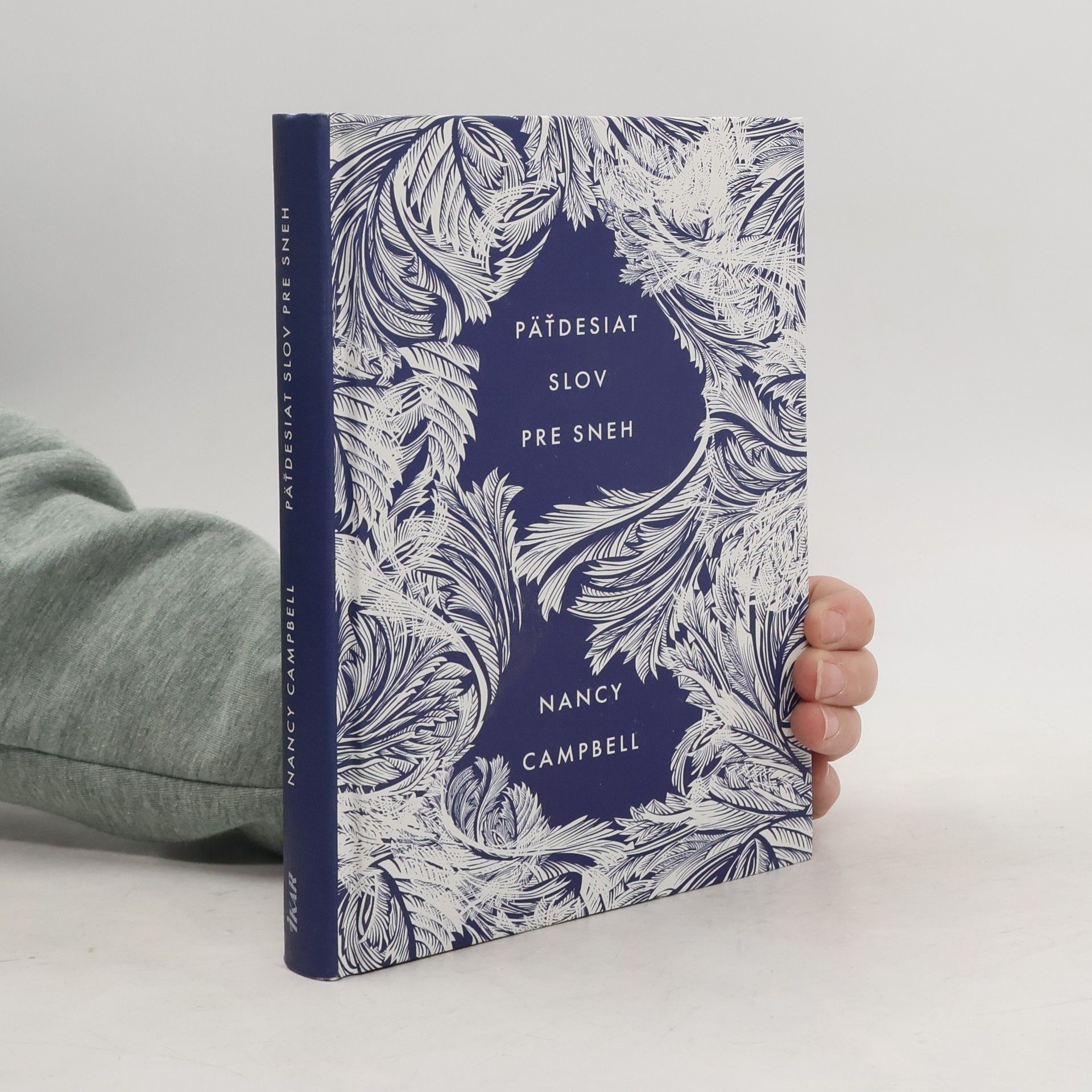 Päťdesiat slov pre sneh