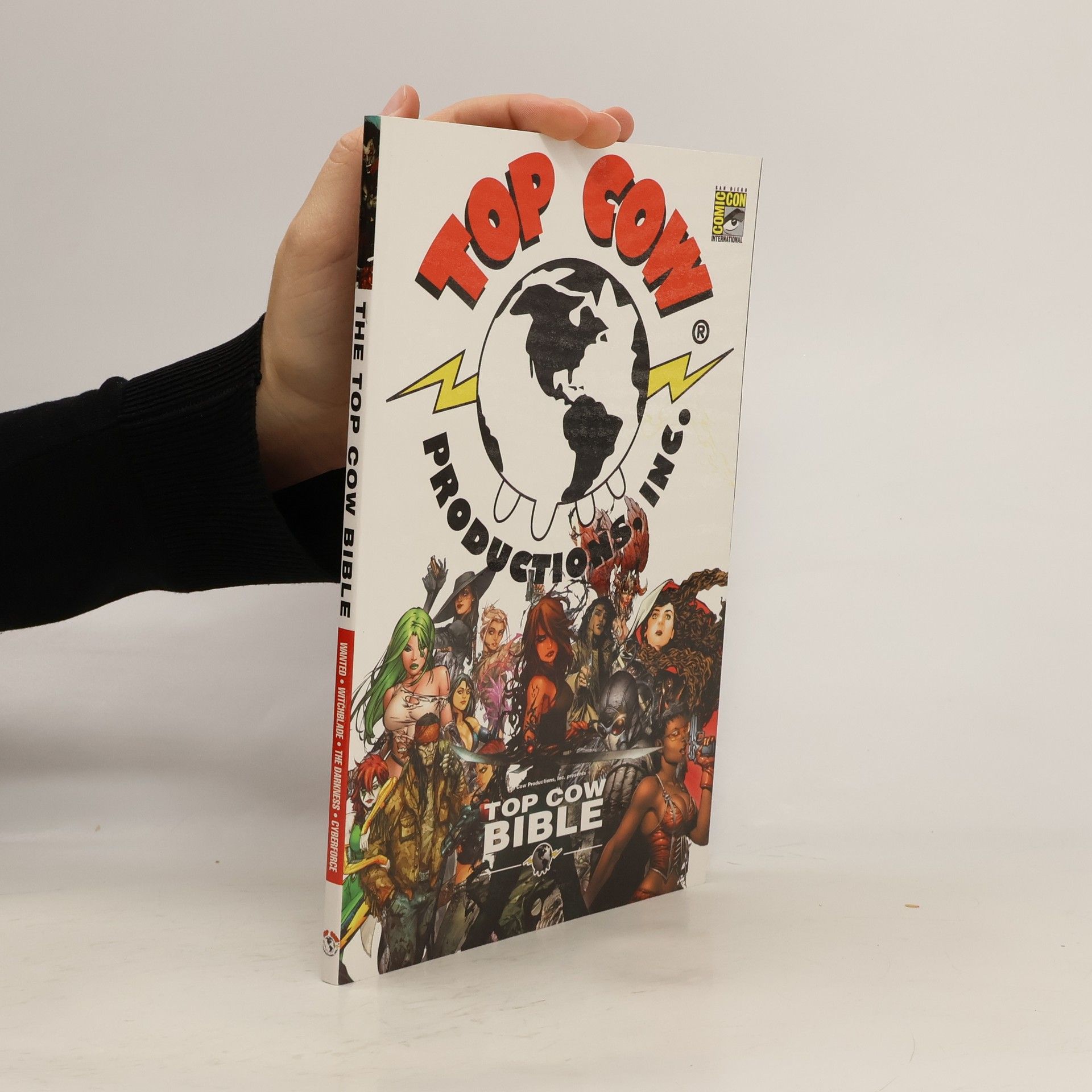 Kolektiv autorů The Art Of Top Cow