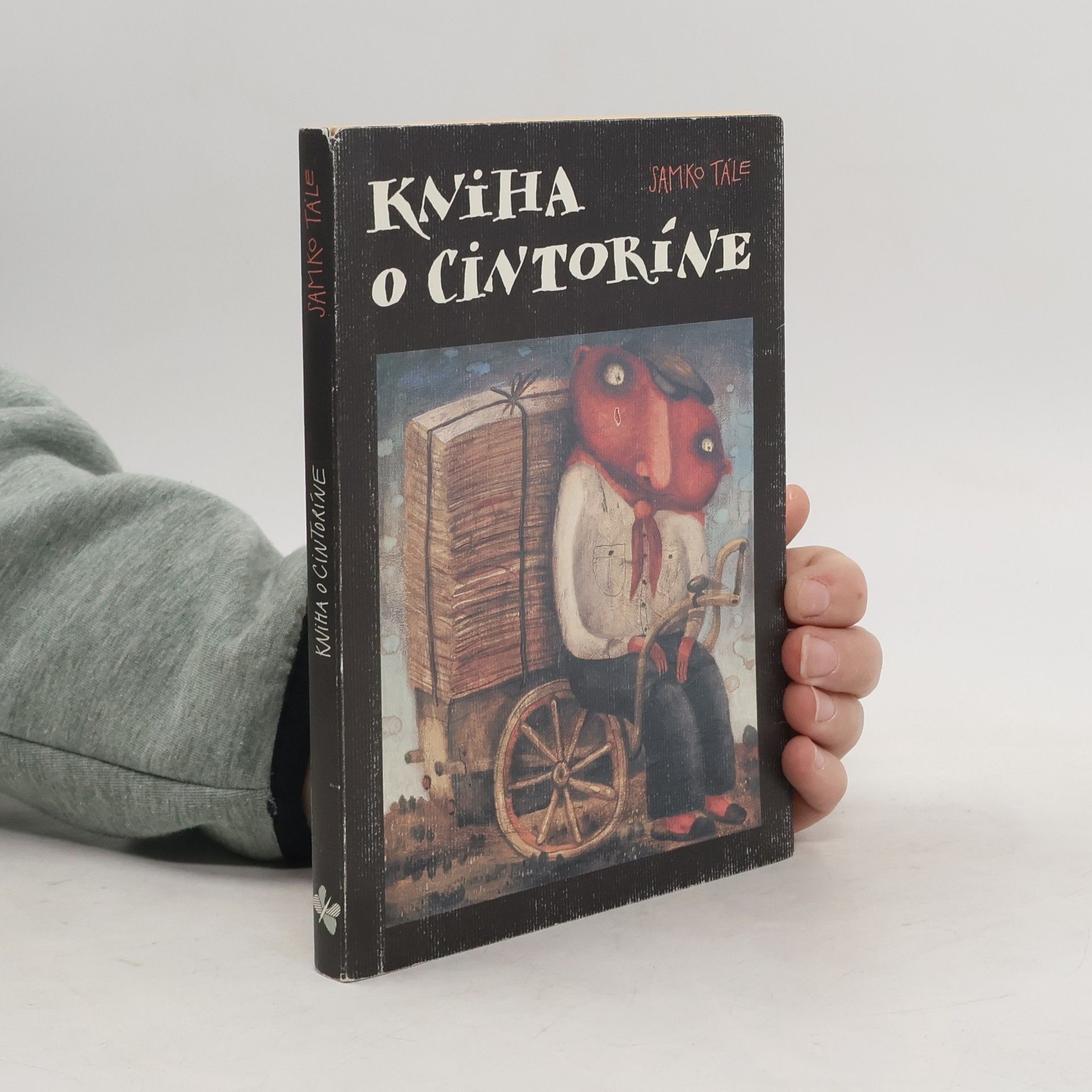 Daniela Kapitáňová Kniha o cintoríne