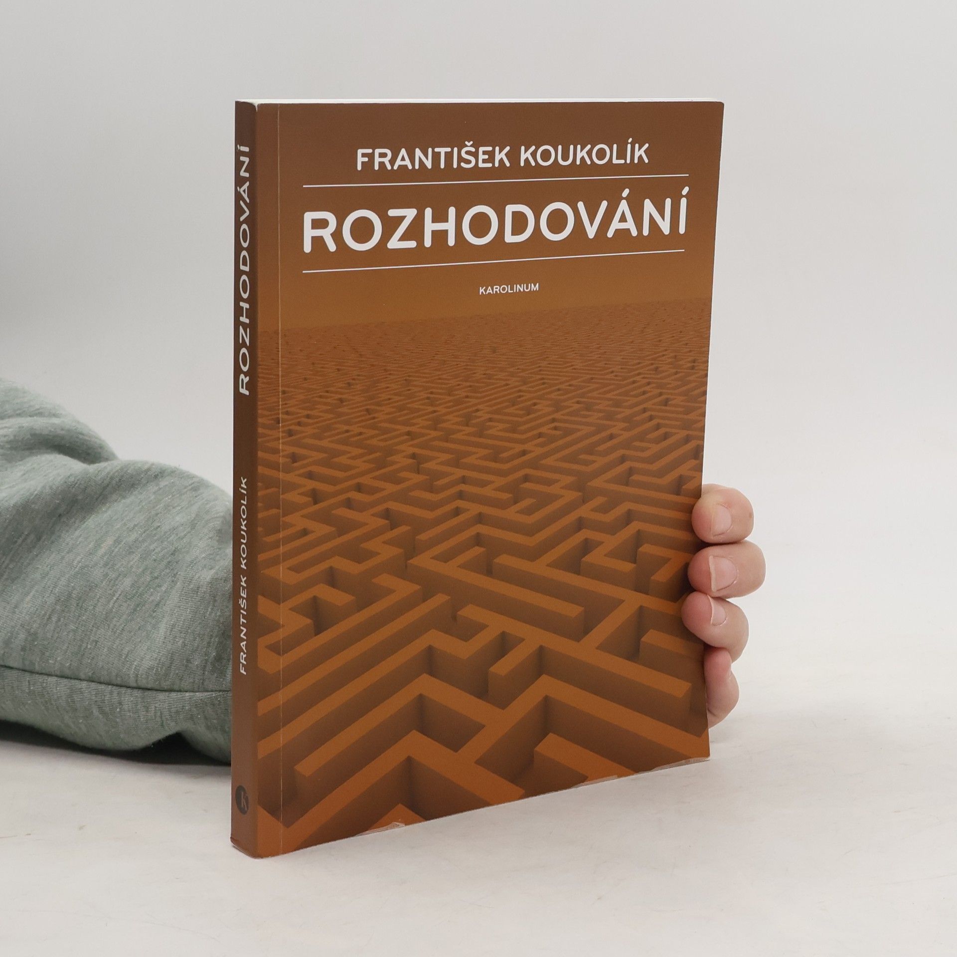 František Koukolík Rozhodování