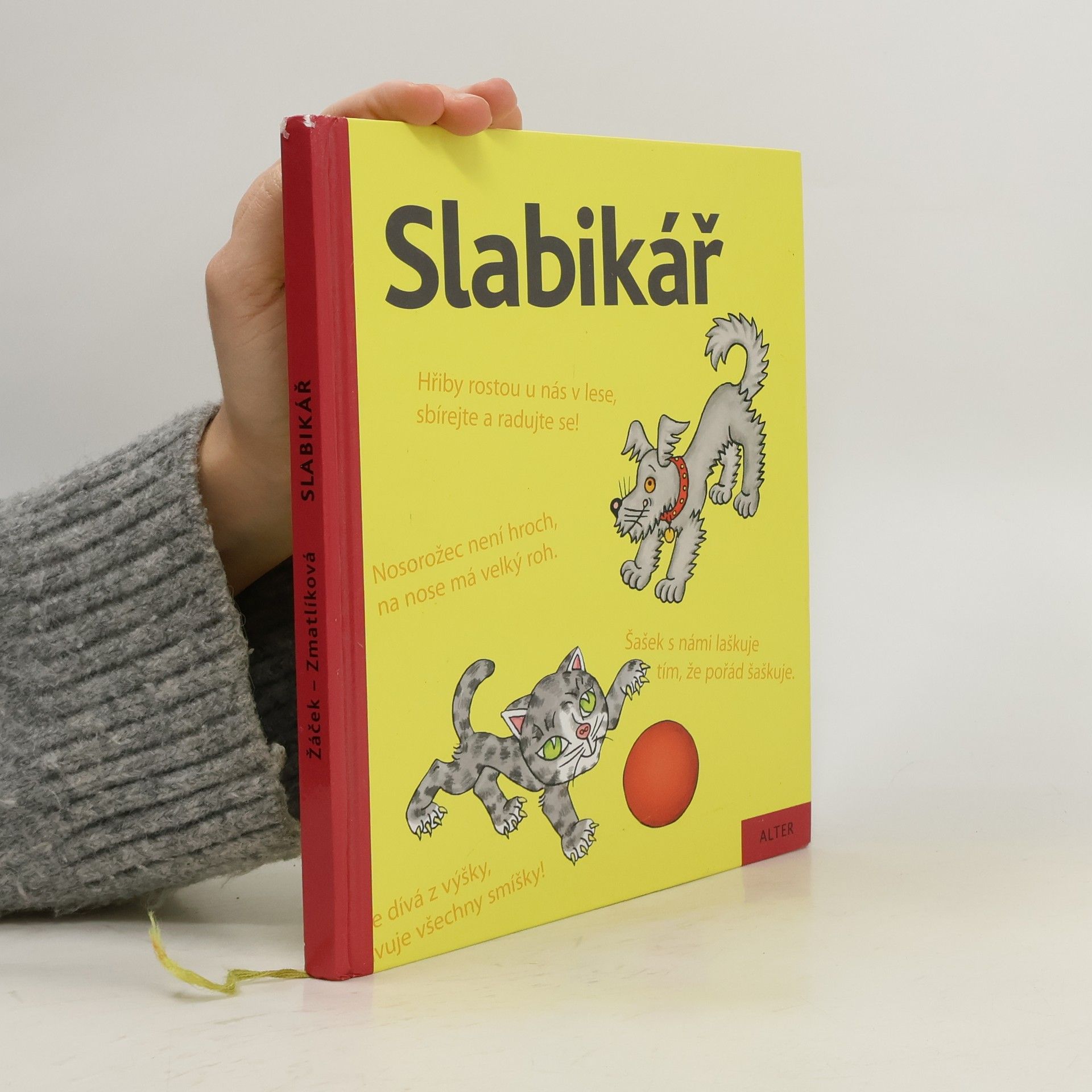 Slabikář : učebnice pro vzdělávací obor Český jazyk a literatura