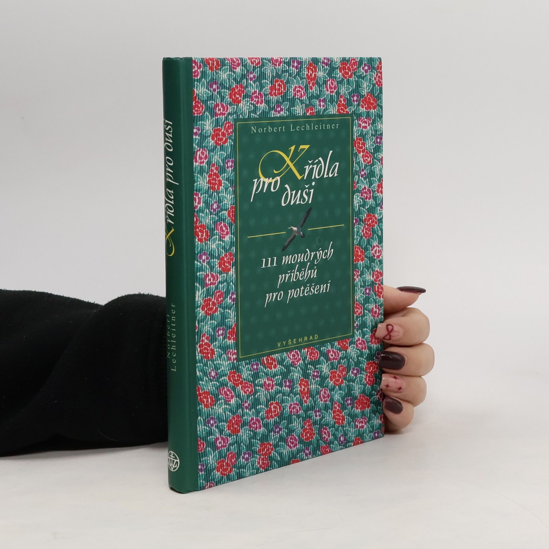 Norbert Lechleitner Křídla pro duši. 111 moudrých příběhů pro potěšení
