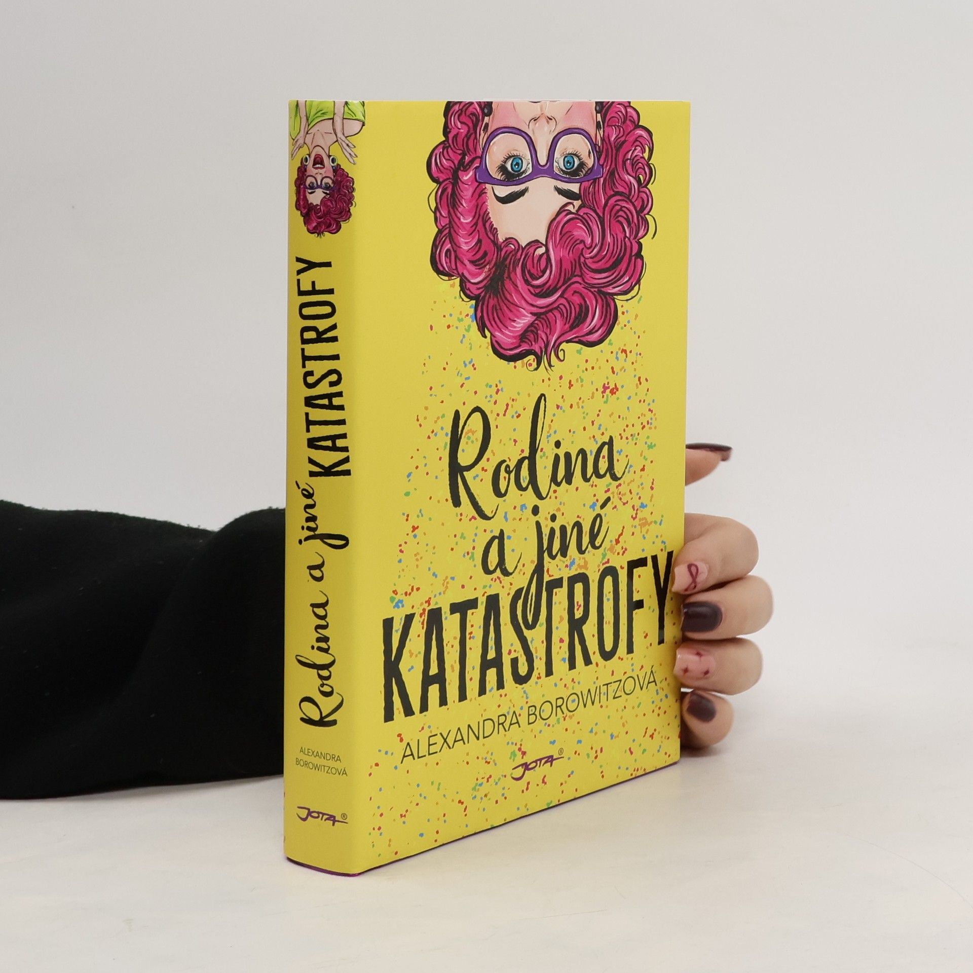 Rodina a jiné katastrofy