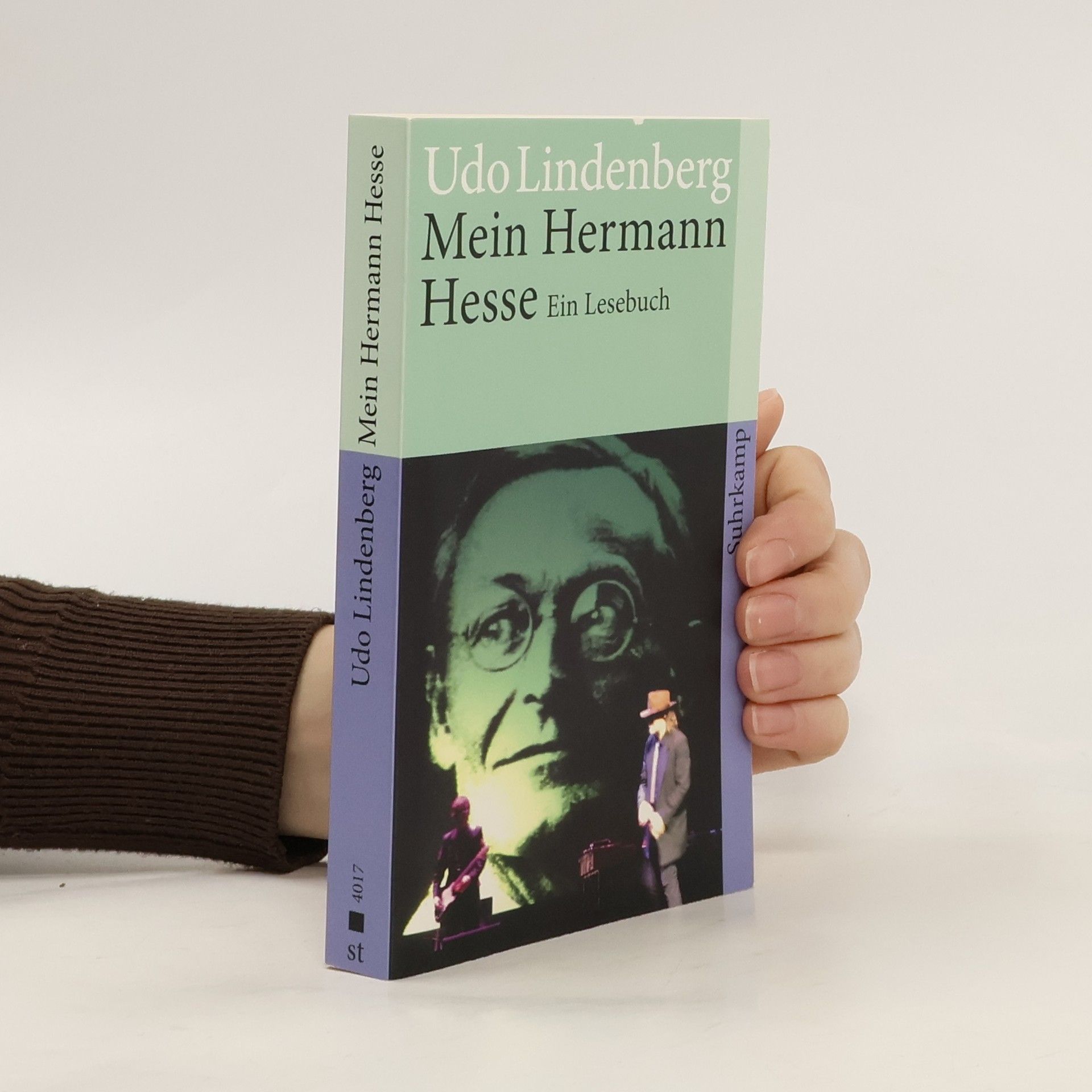Mein Hermann Hesse