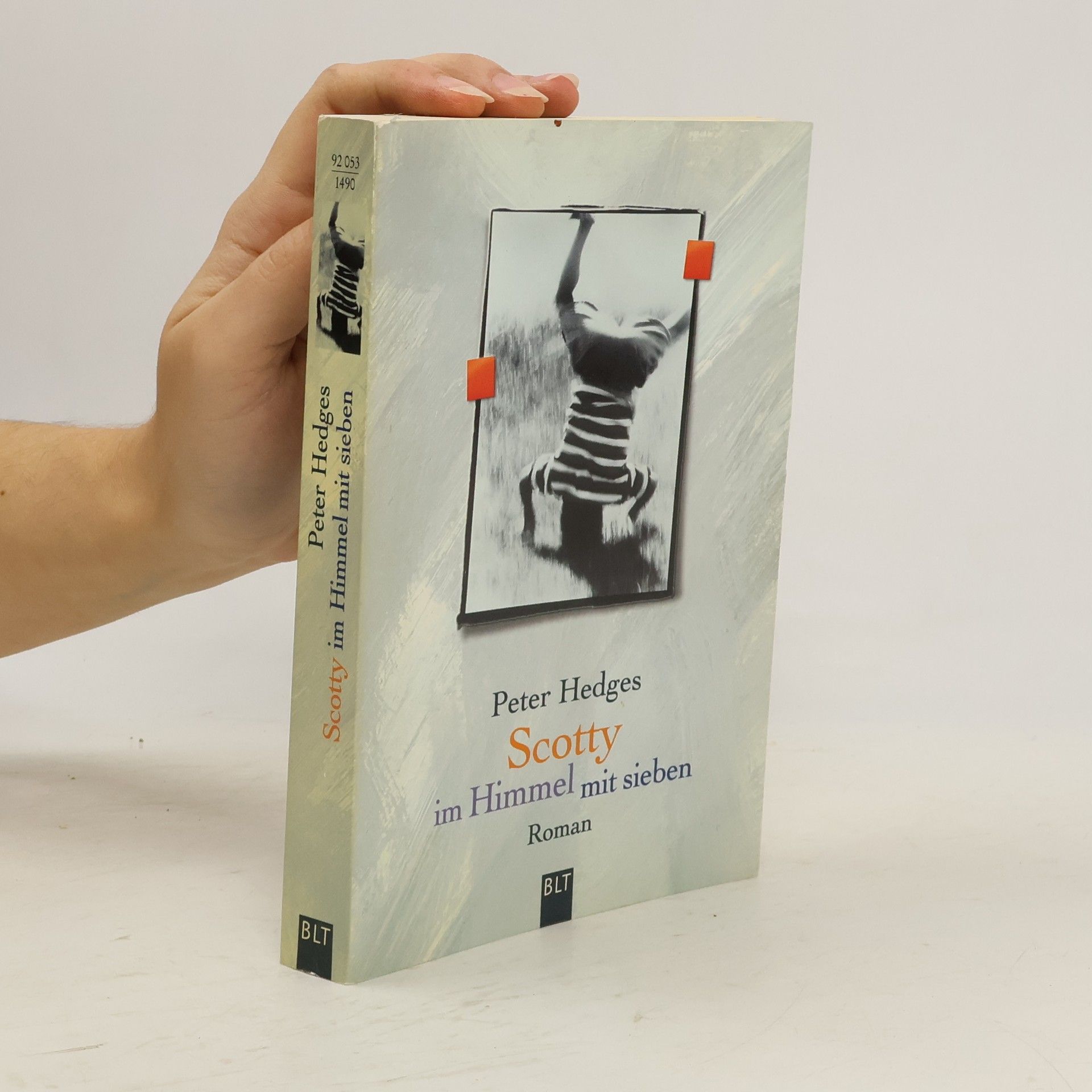 Peter Hedges Scotty im Himmel mit sieben