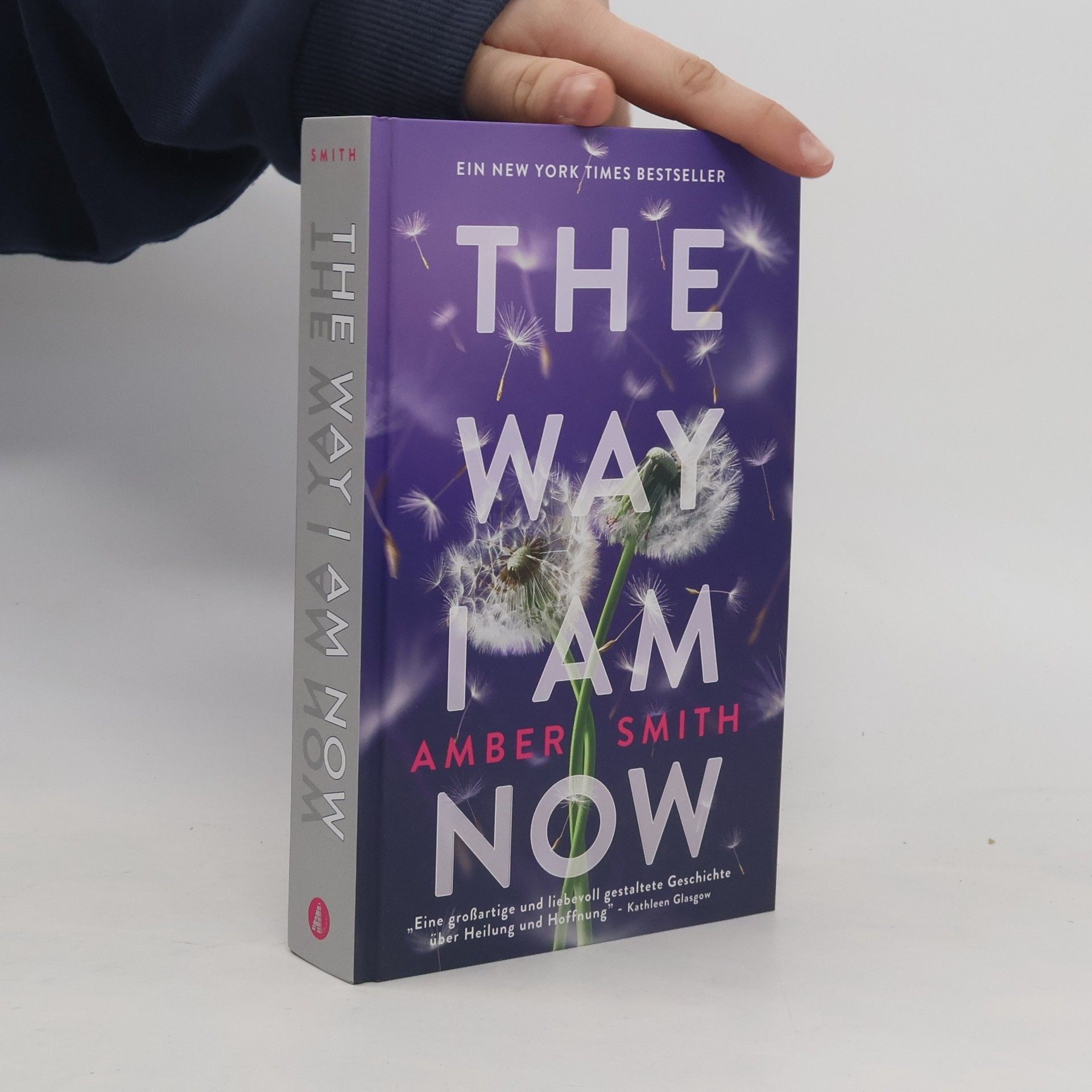 Amber Smith The Way I am Now