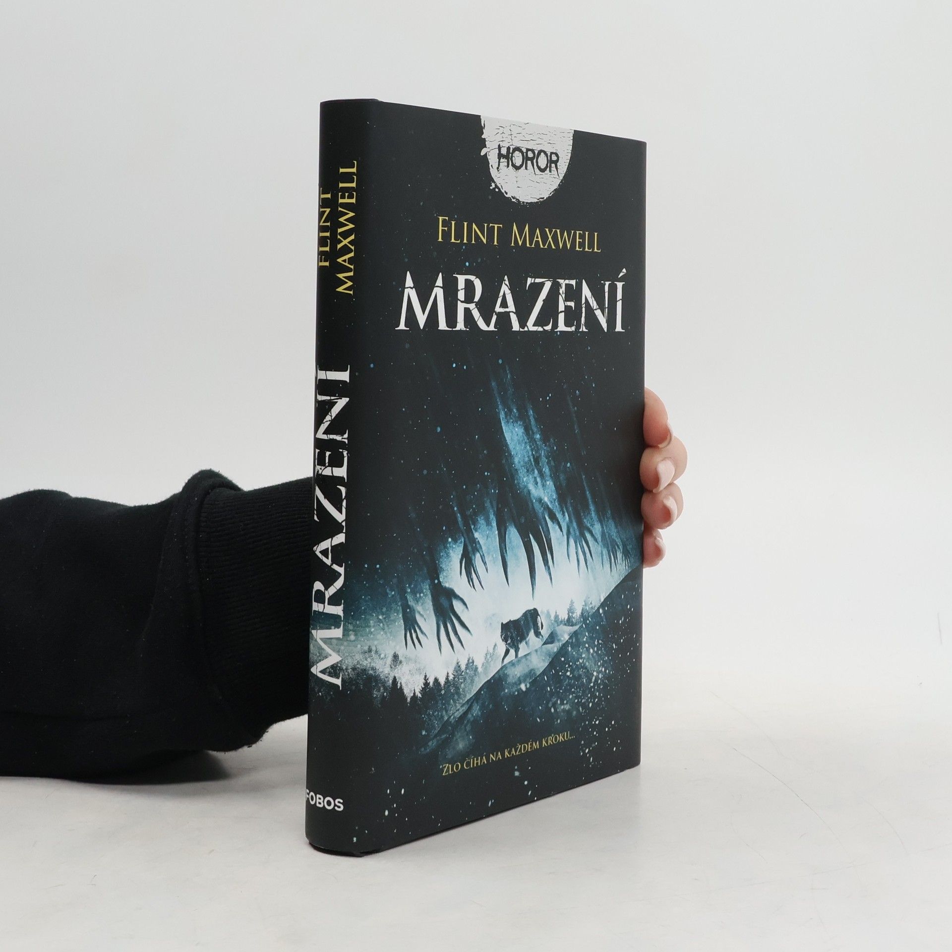 Flint Maxwell Mrazení