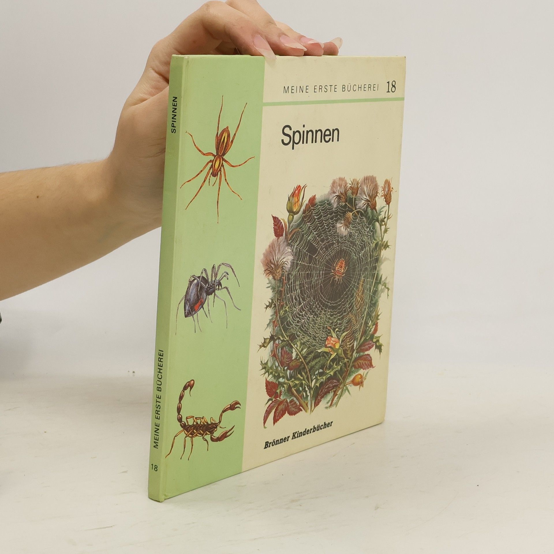 Autores varios Meine erste Bücherei. 18. Spinnen