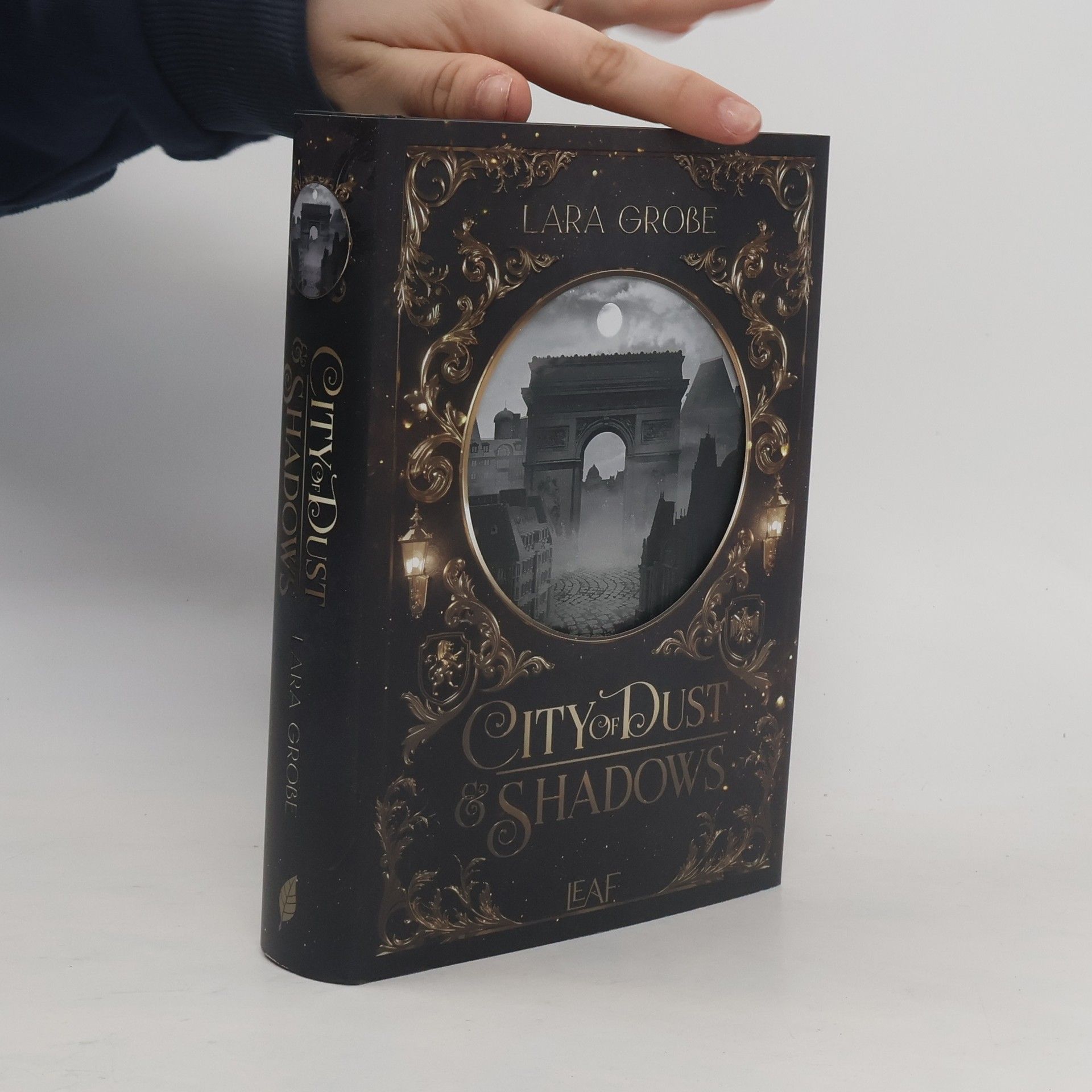 Lara Große City of Dust and Shadows