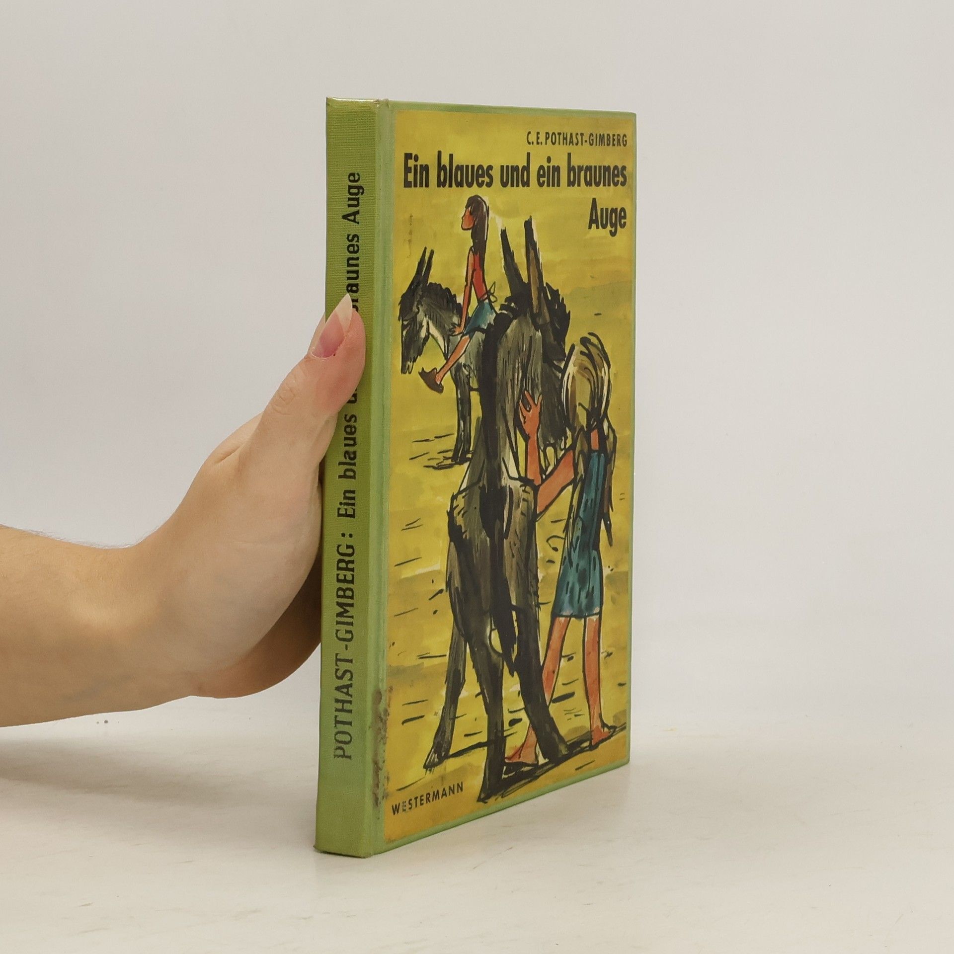 Christina Elizabeth Pothast-Gimberg Ein blaues und ein braunes Auge