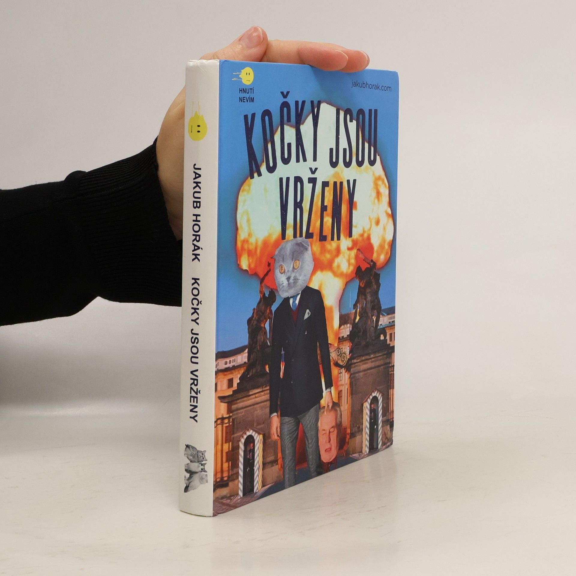 Kočky jsou vrženy: Fantastický román