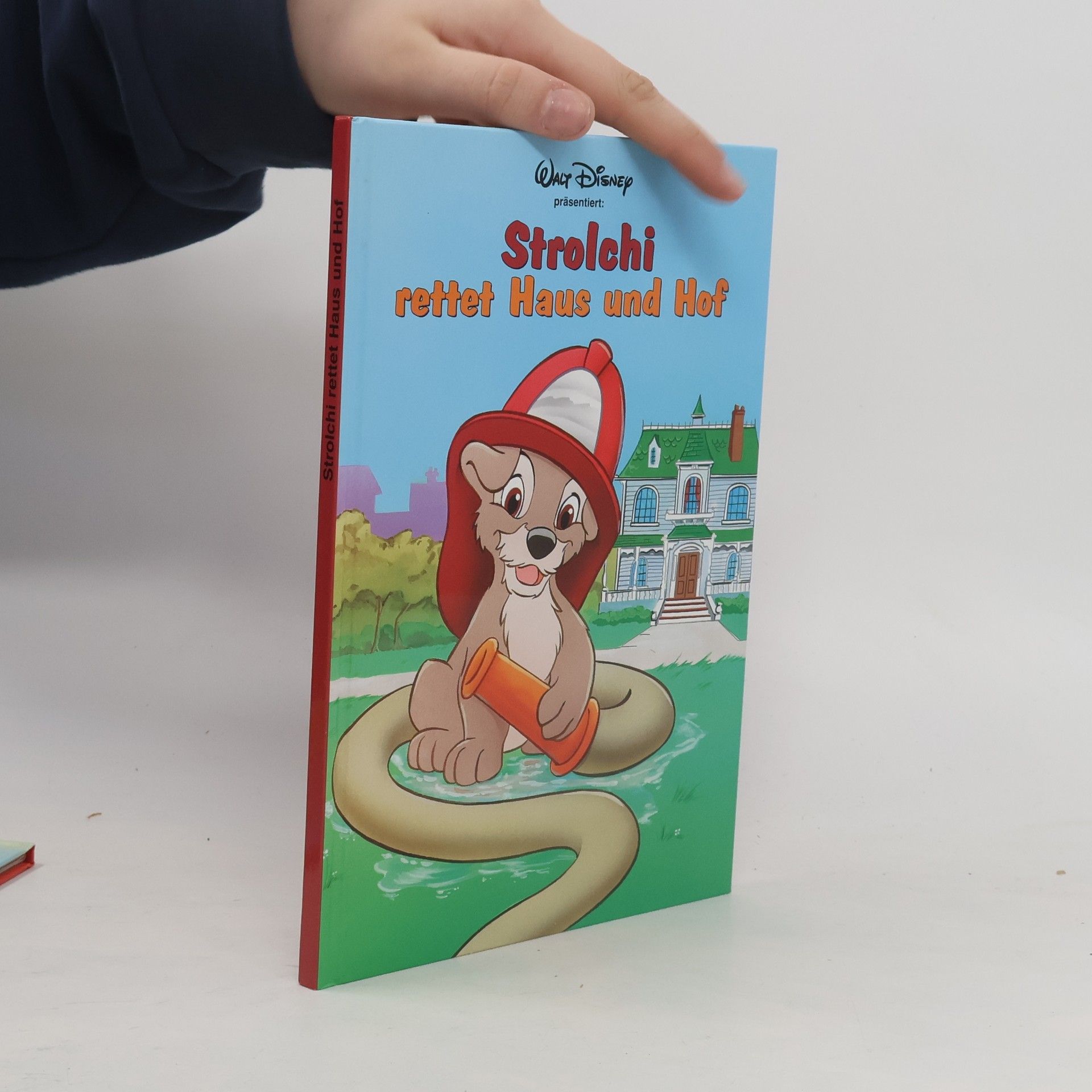 Kolektiv autorů Strolchi rettet Haus und Hof