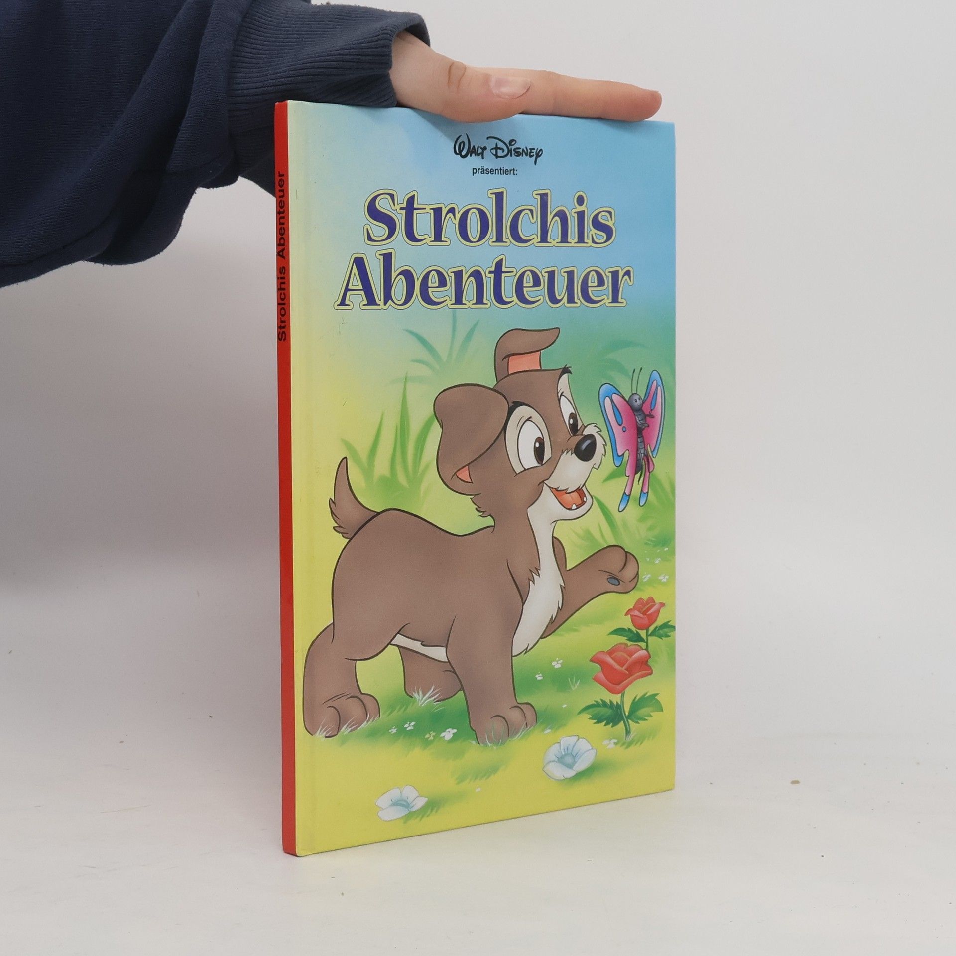 Autorenkollektiv Strolchis Abenteuer