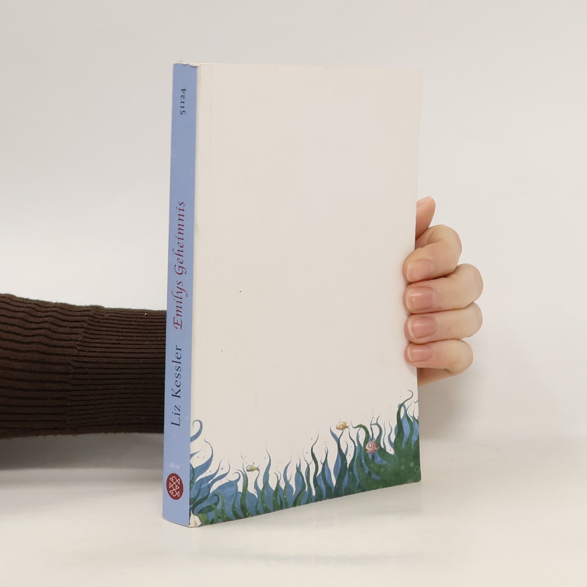 Liz Kessler Emilys Geheimnis