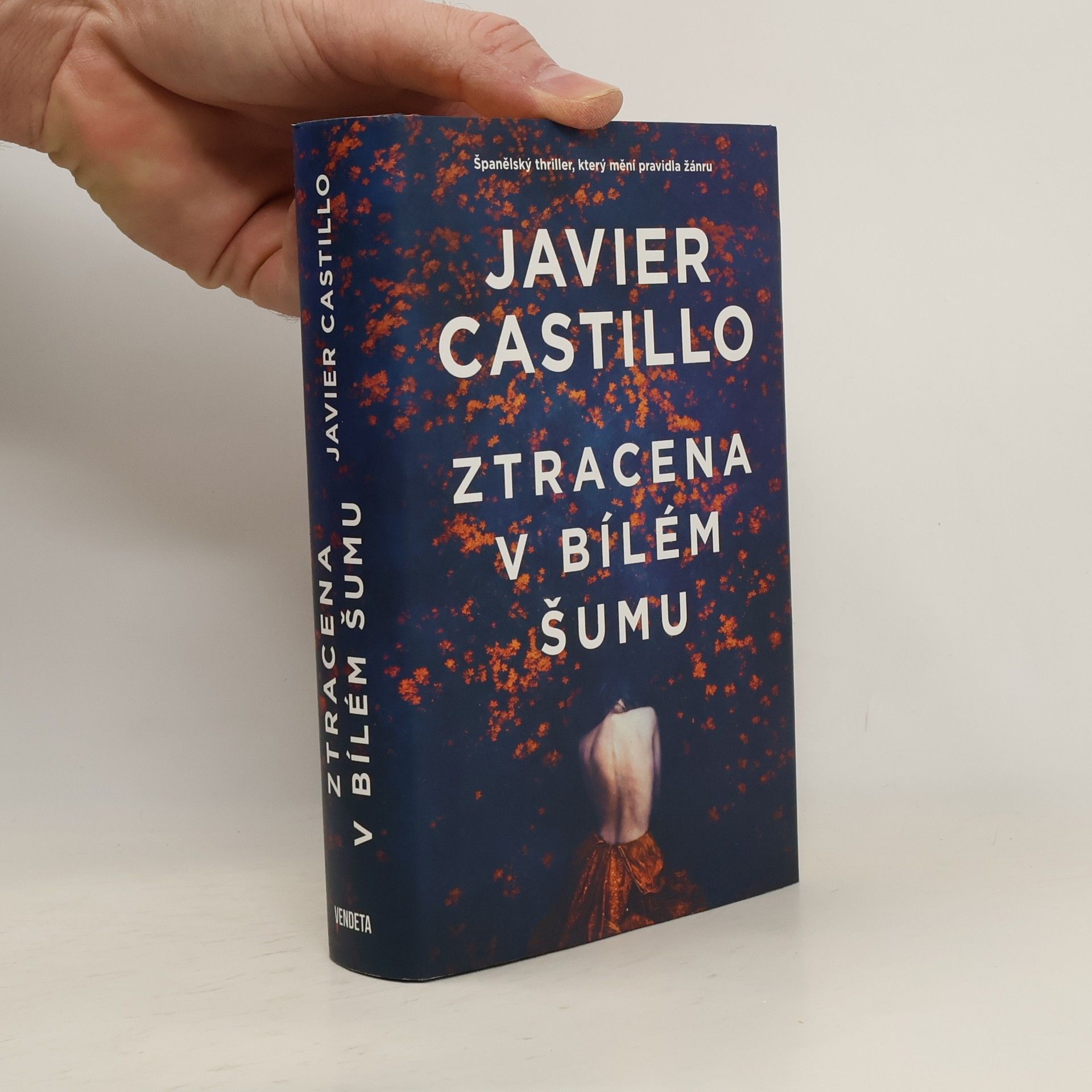 Javier Castillo Ztracena v bílém šumu