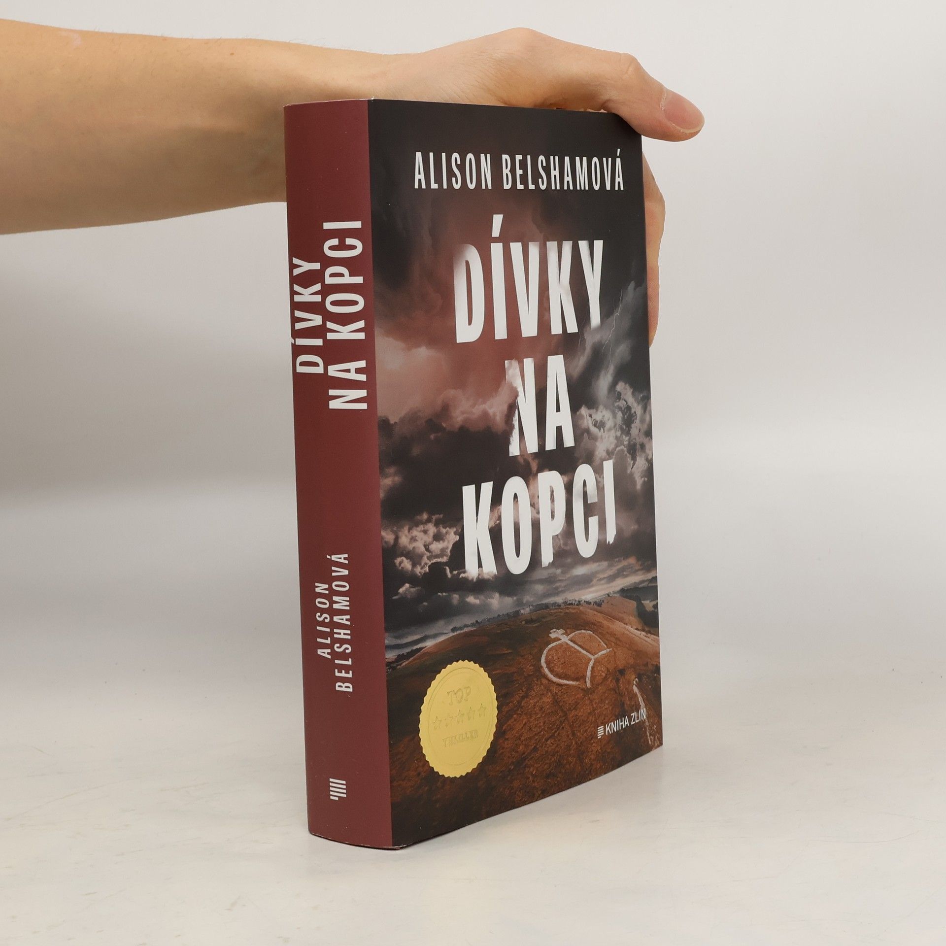 Alison Belsham Dívky na kopci