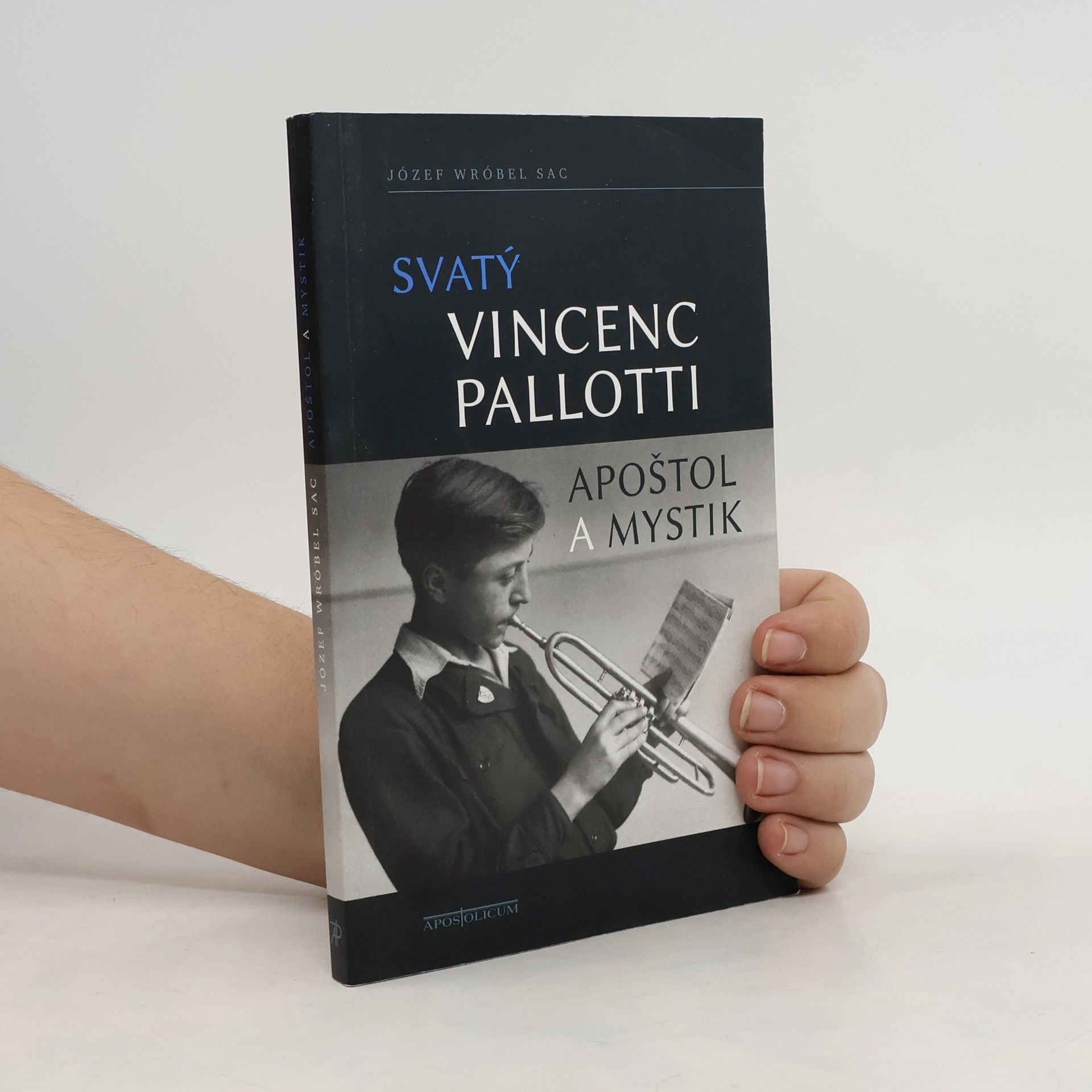 Svatý Vincenc Pallotti