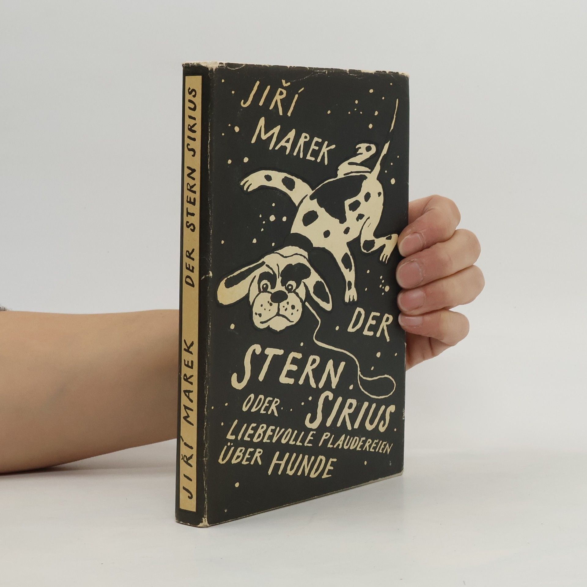 Jiří Marek Der Stern oder Sirius