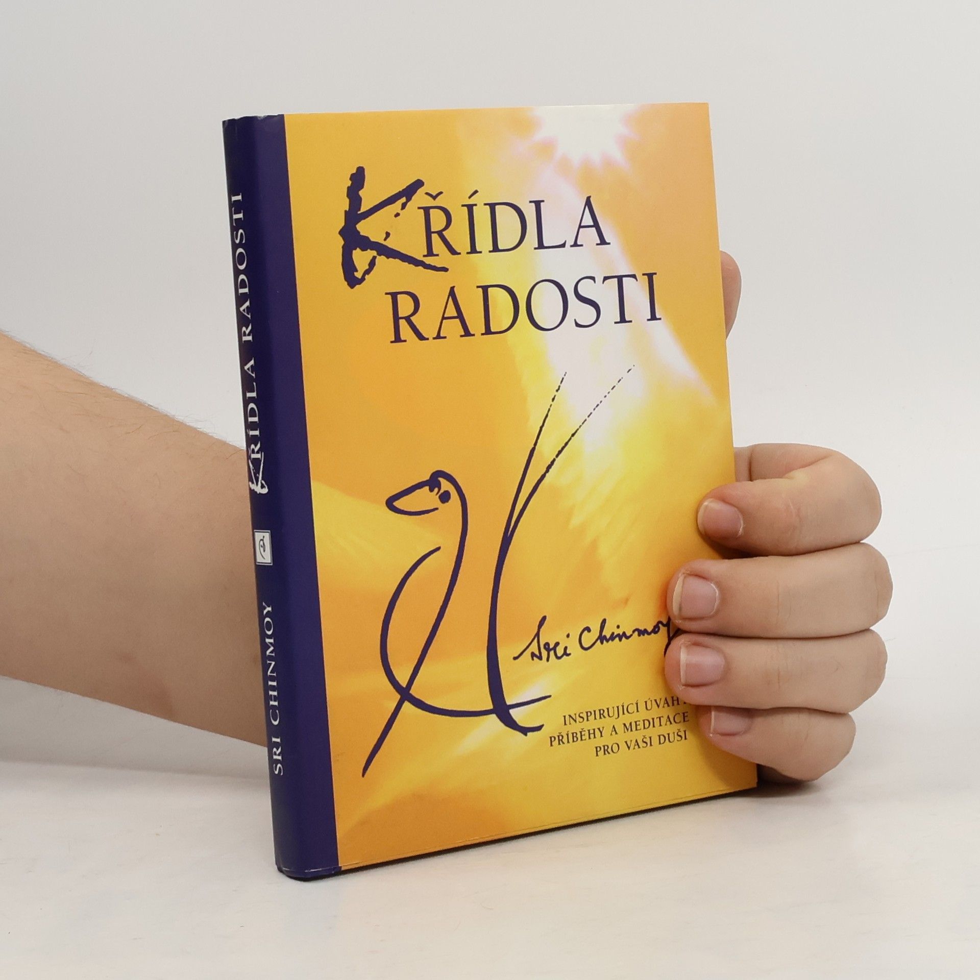 Sri Chinmoy Křídla radosti