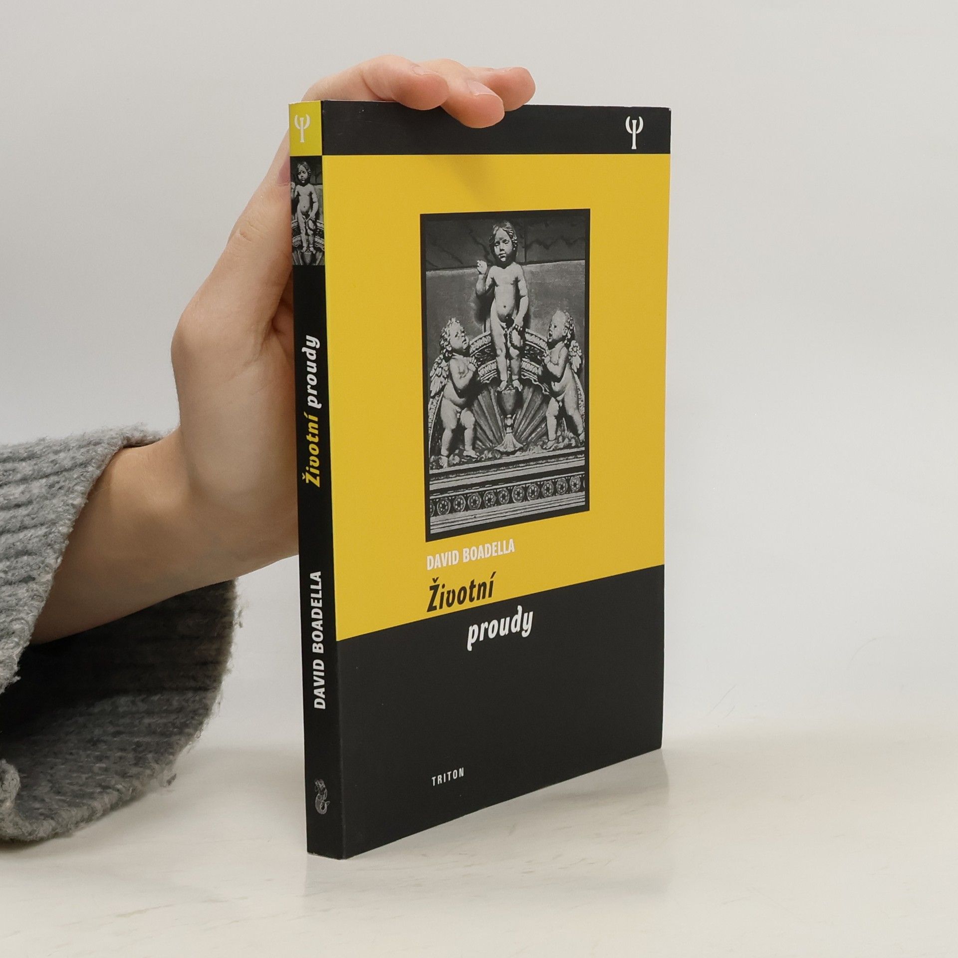 David Boadella Životní proudy