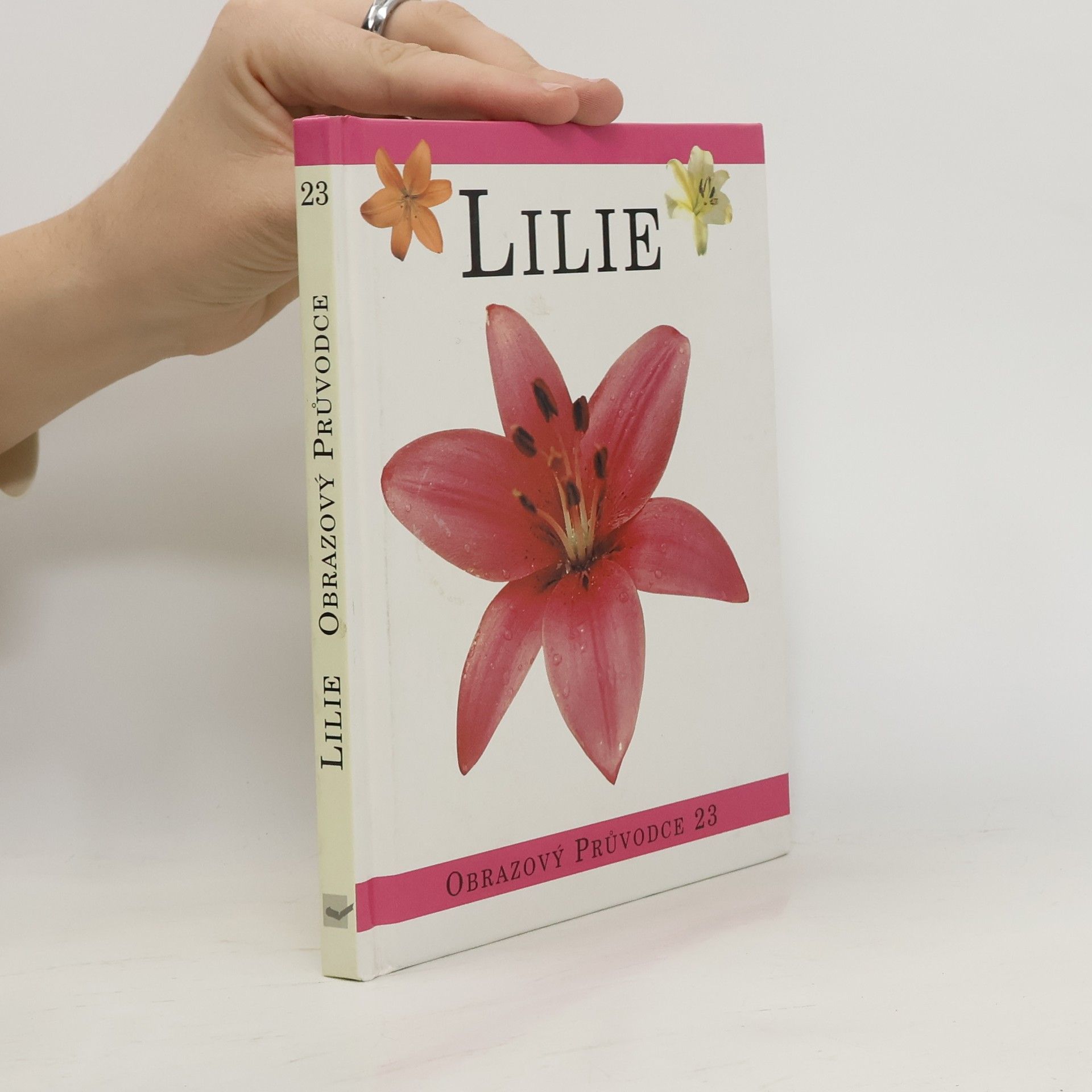 Autorenkollektiv Lilie