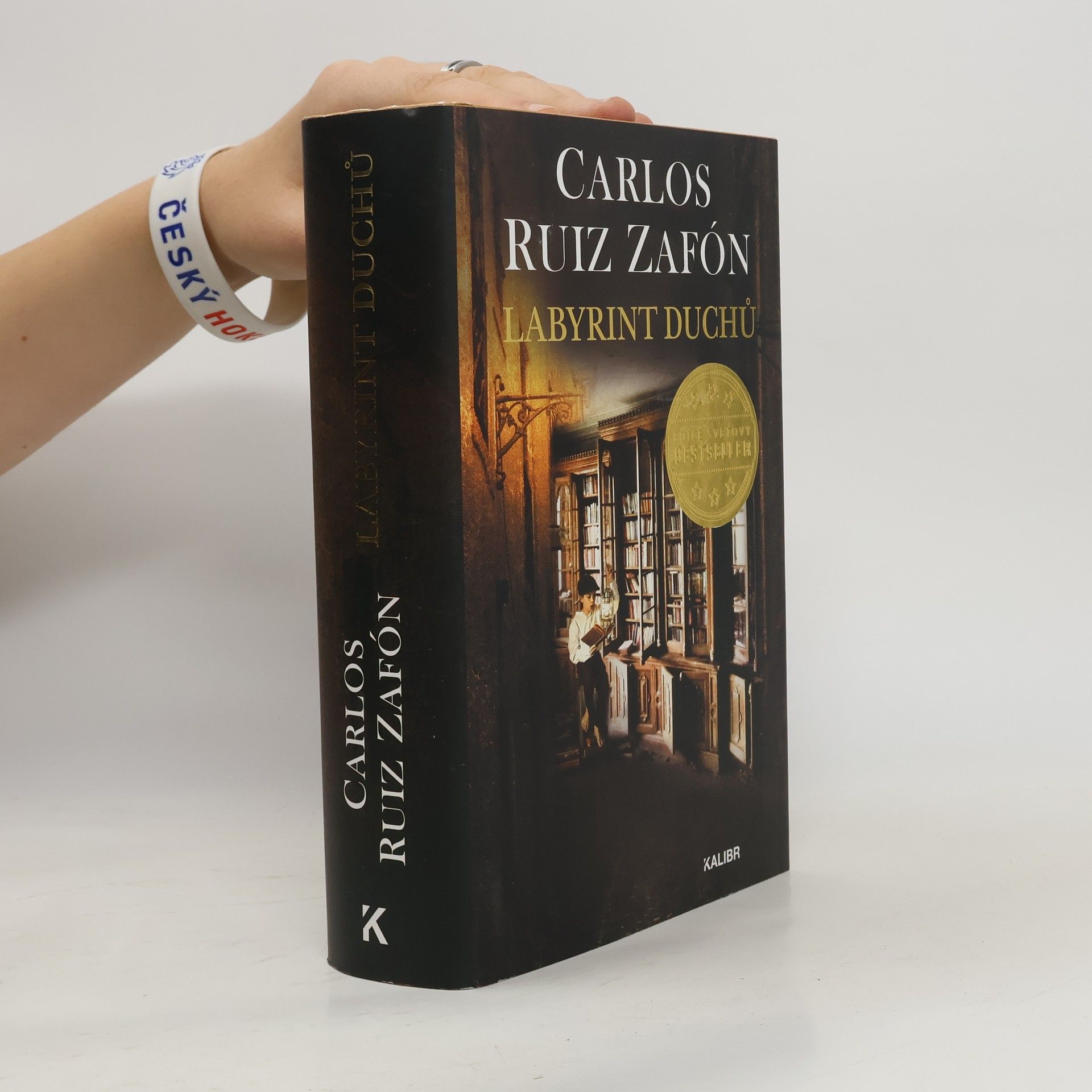 Carlos Ruiz Zafón Labyrint duchů