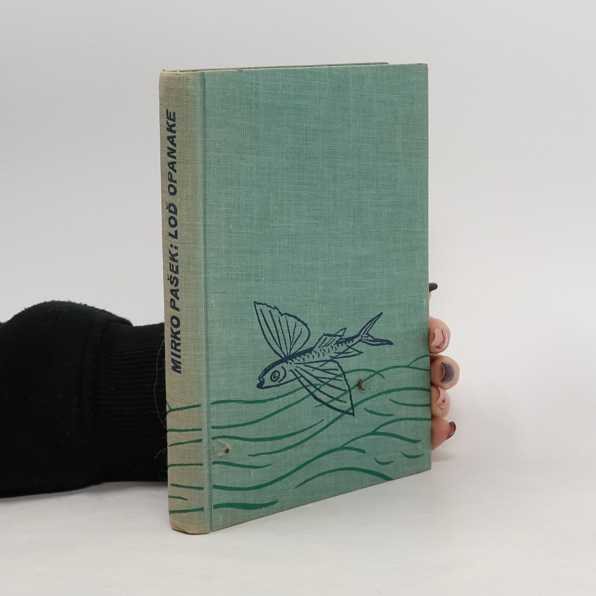 Mirko Pašek Loď Opanake