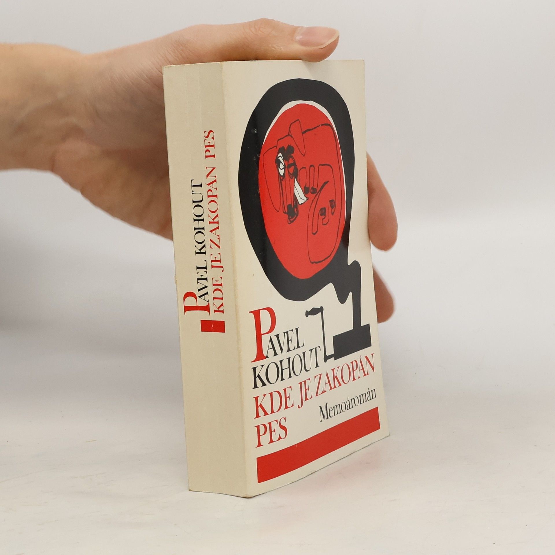 Pavel Kohout Kde je zakopán pes