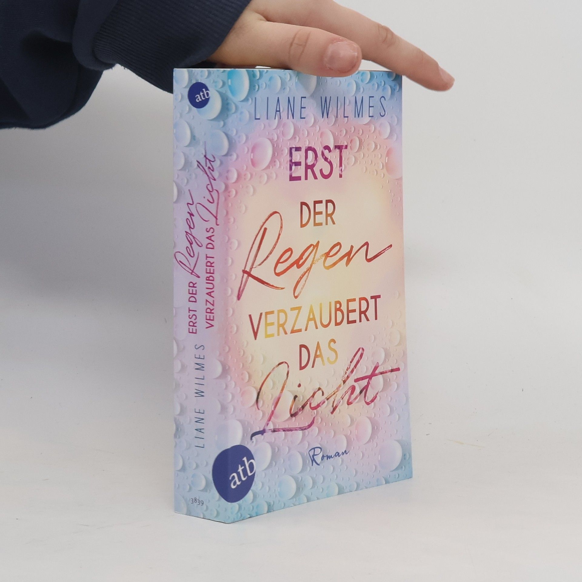 Liane Wilmes Erst der Regen verzaubert das Licht