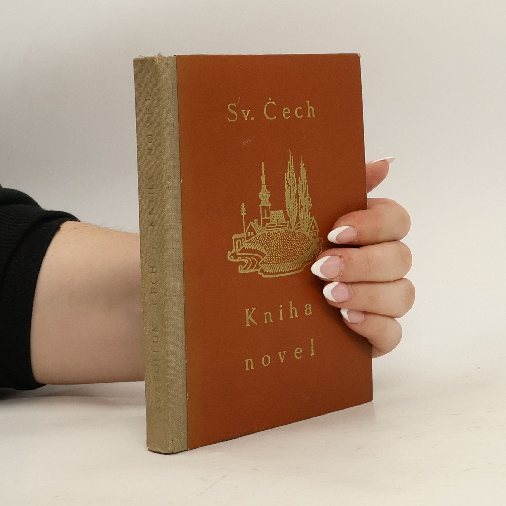 Svatopluk Čech Kniha novel