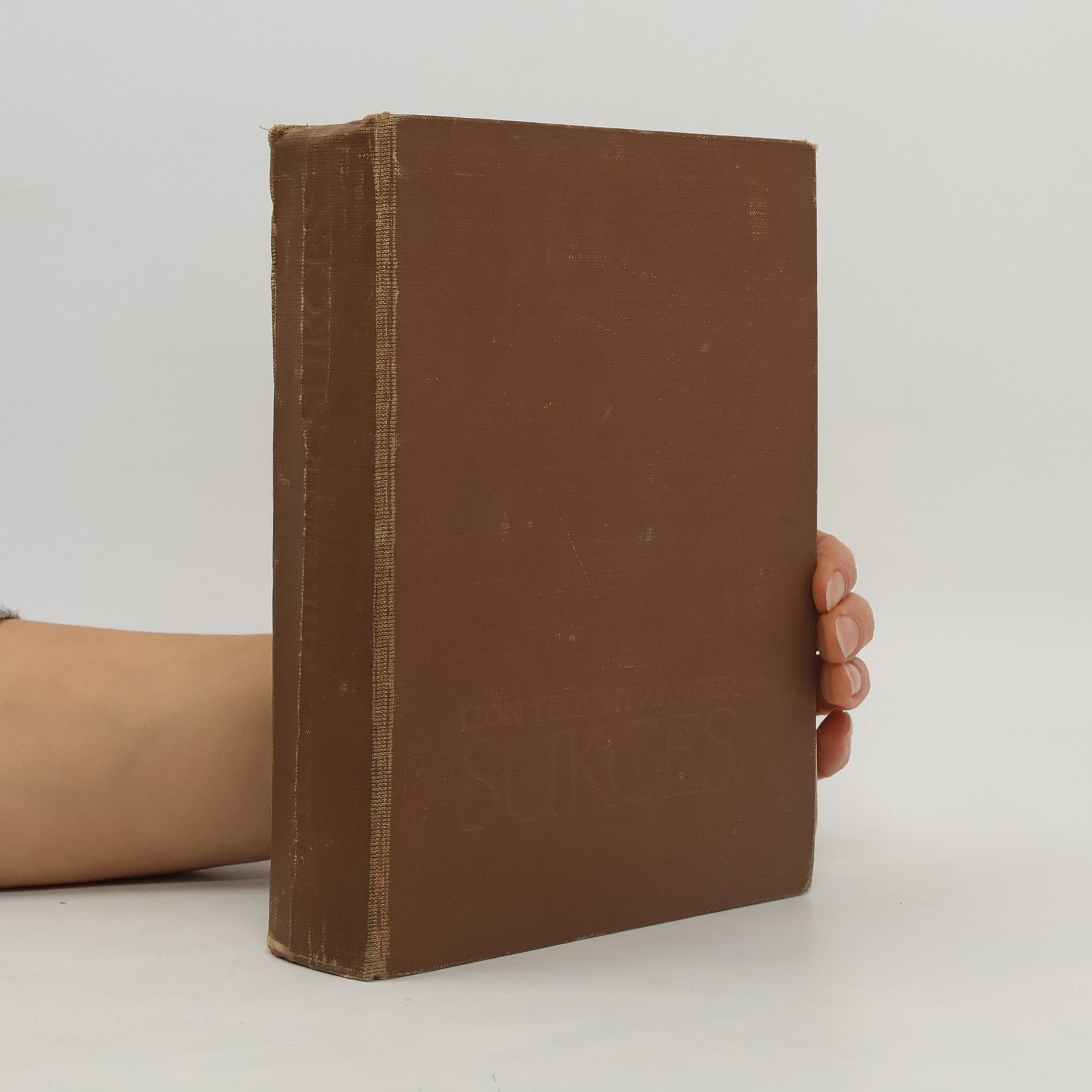 Lion Feuchtwanger Sukces