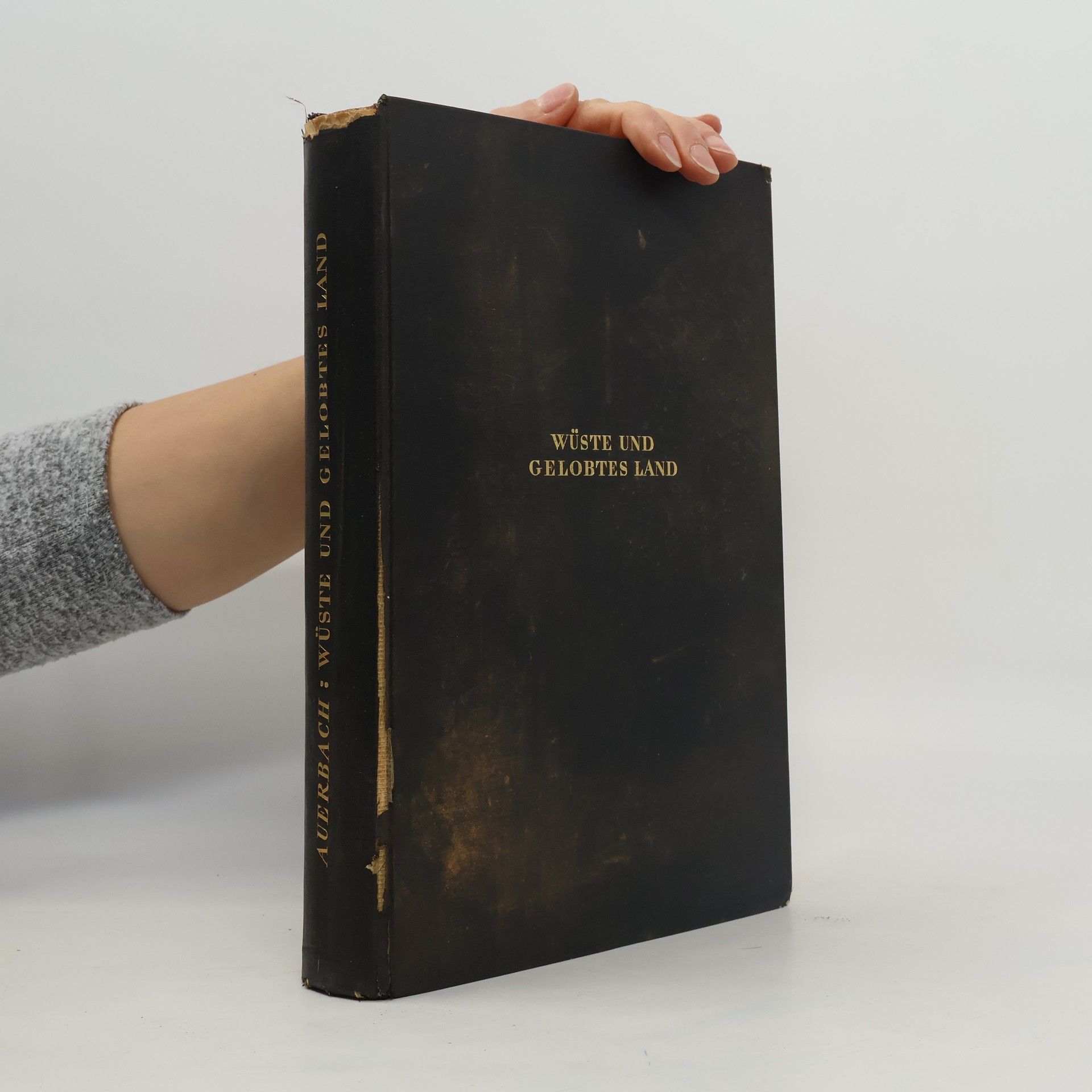 Elias Auerbach Wüste und gelobtes Land