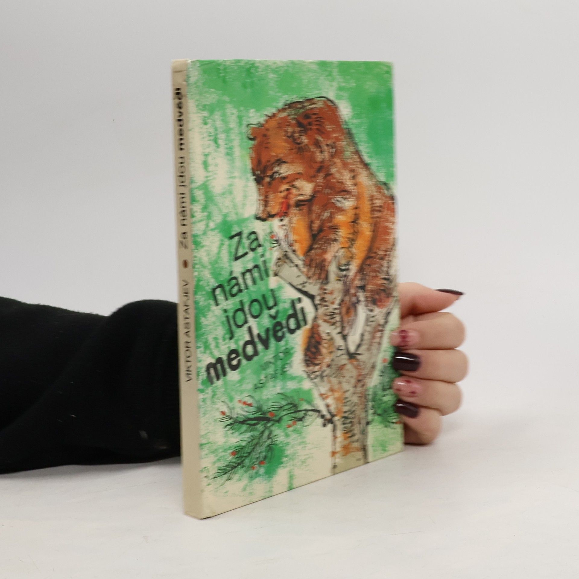 Za námi jdou medvědi